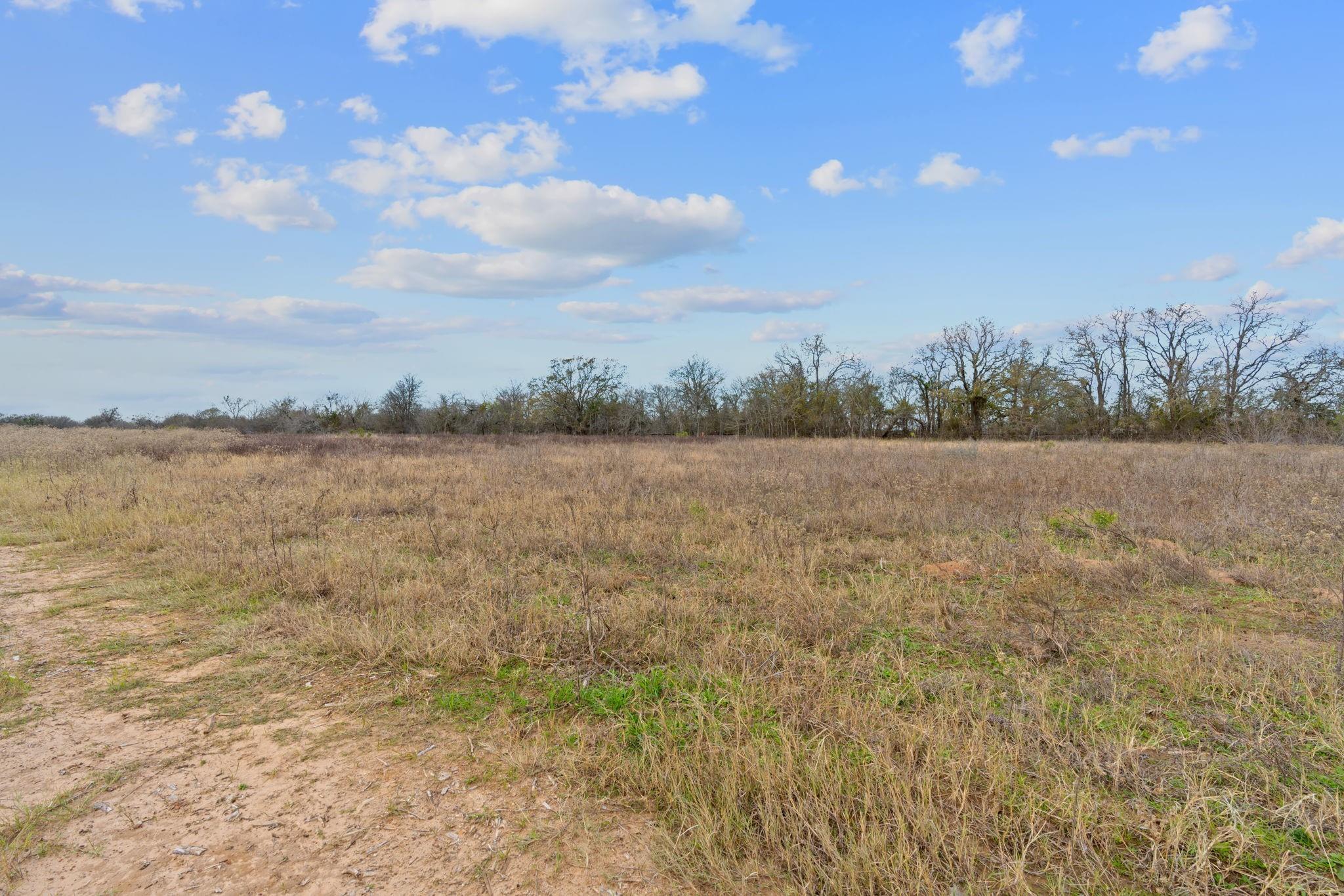 161 Azalea Ct Property Photo 6