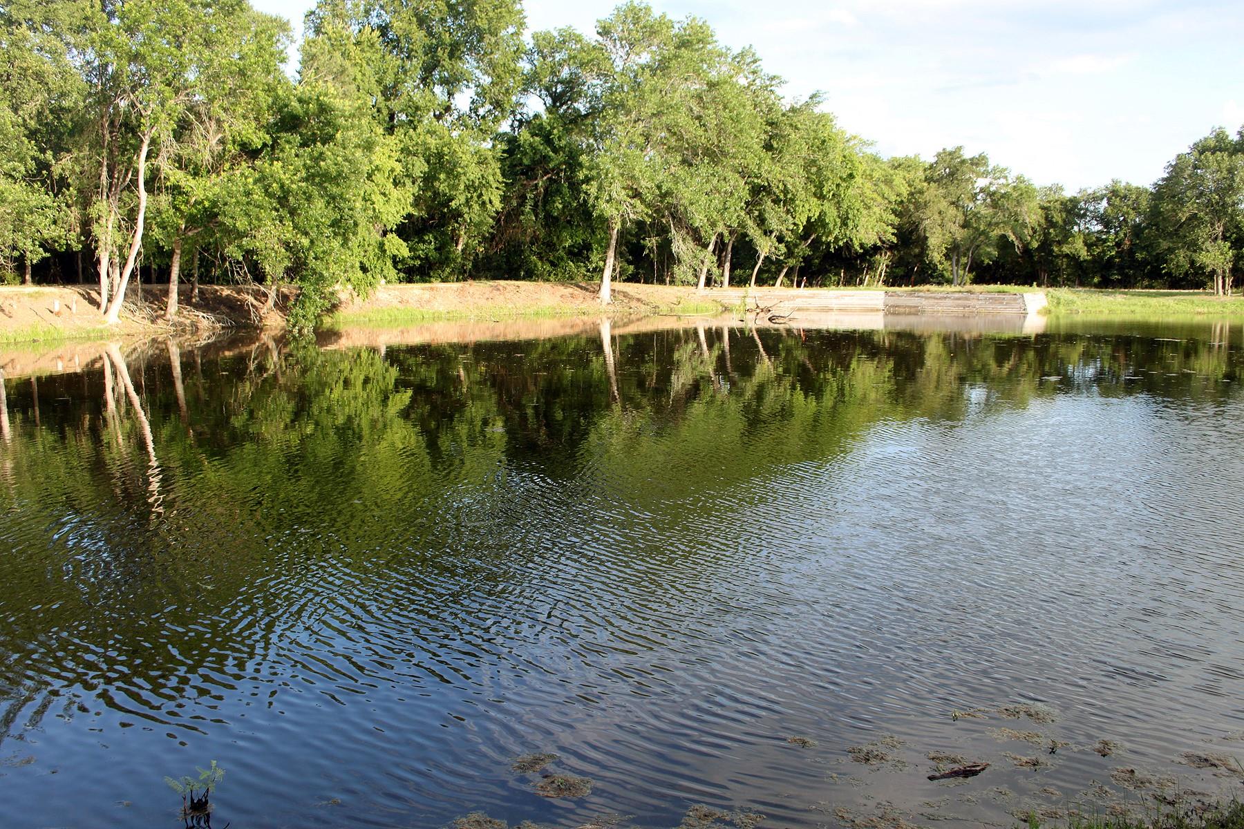 900 Old Lytton Springs Rd Property Photo 1