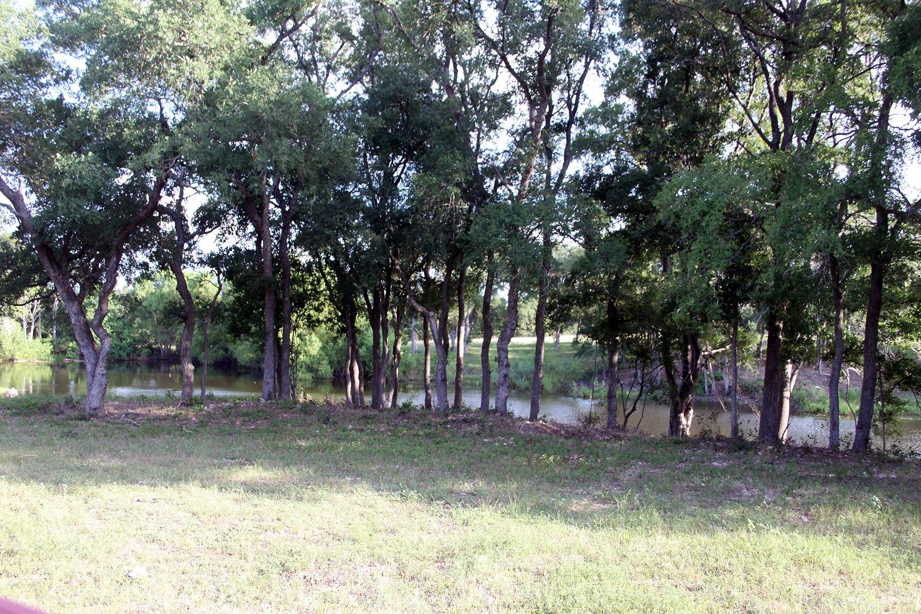 900 Old Lytton Springs Rd Property Photo 7