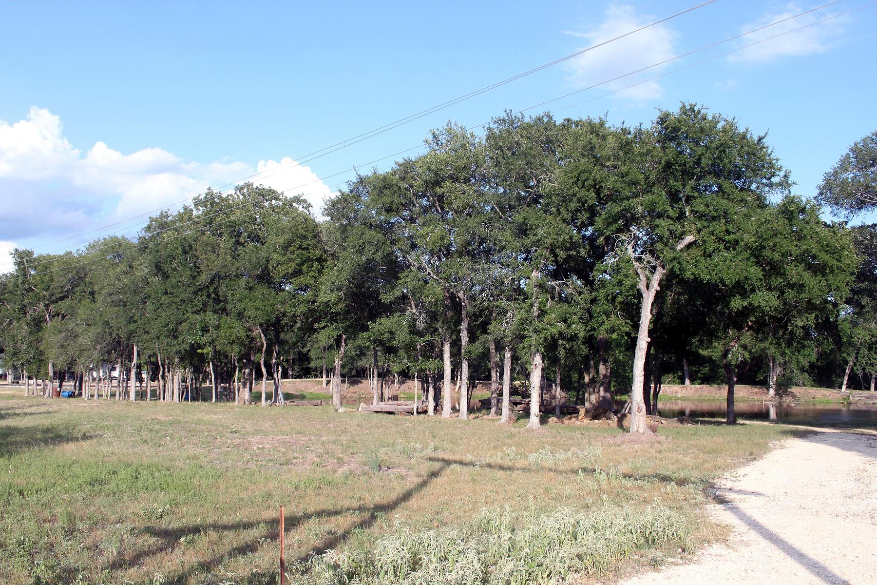 900 Old Lytton Springs Rd Property Photo 12