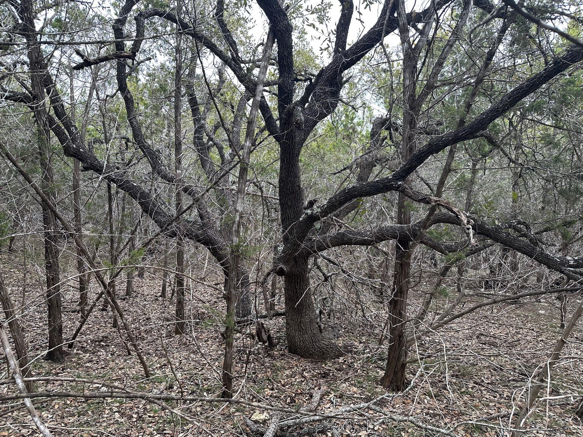 TBD S Sunset CYN Property Photo 1