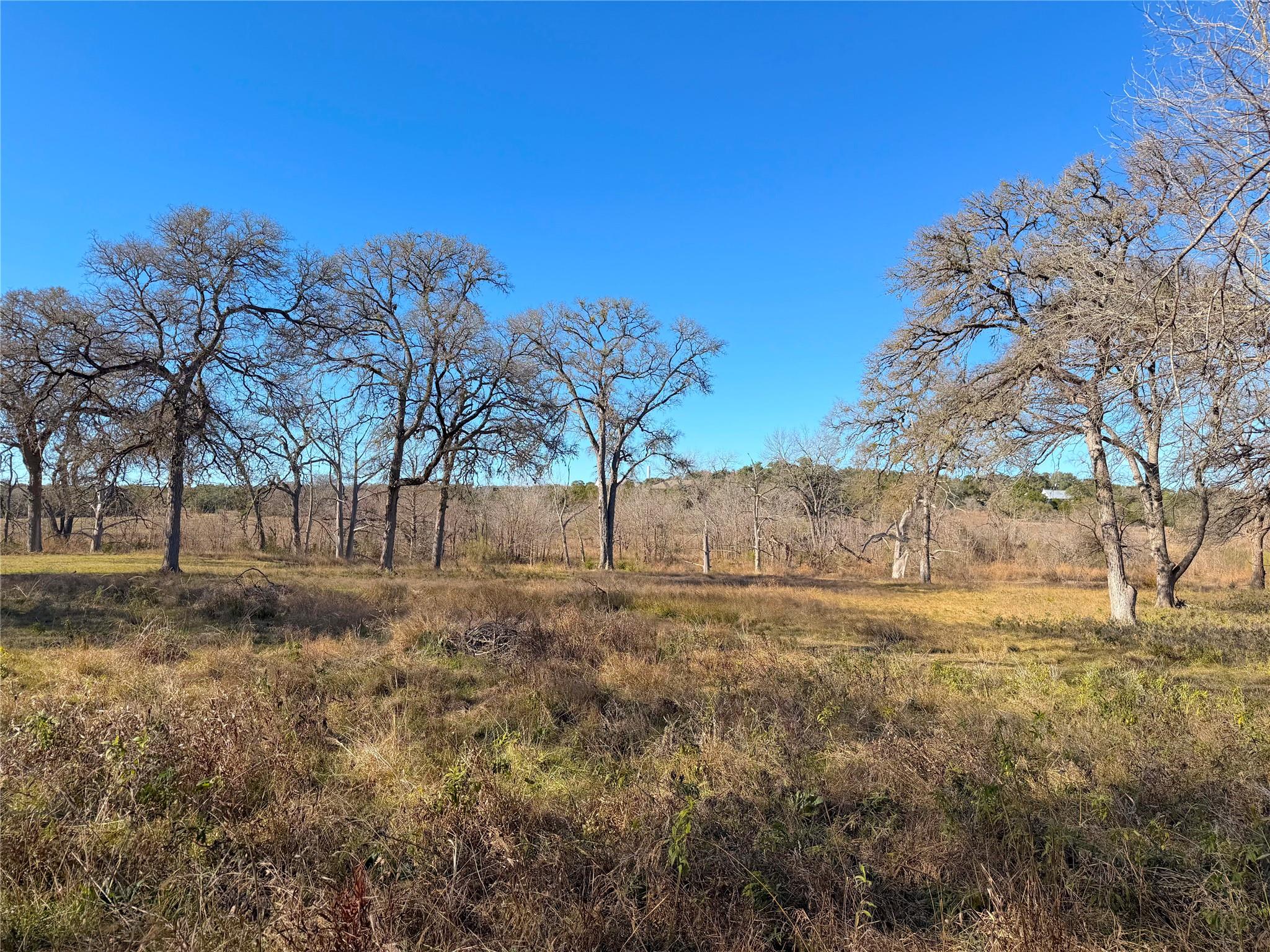 2162 Sierra Madre None Property Photo 1