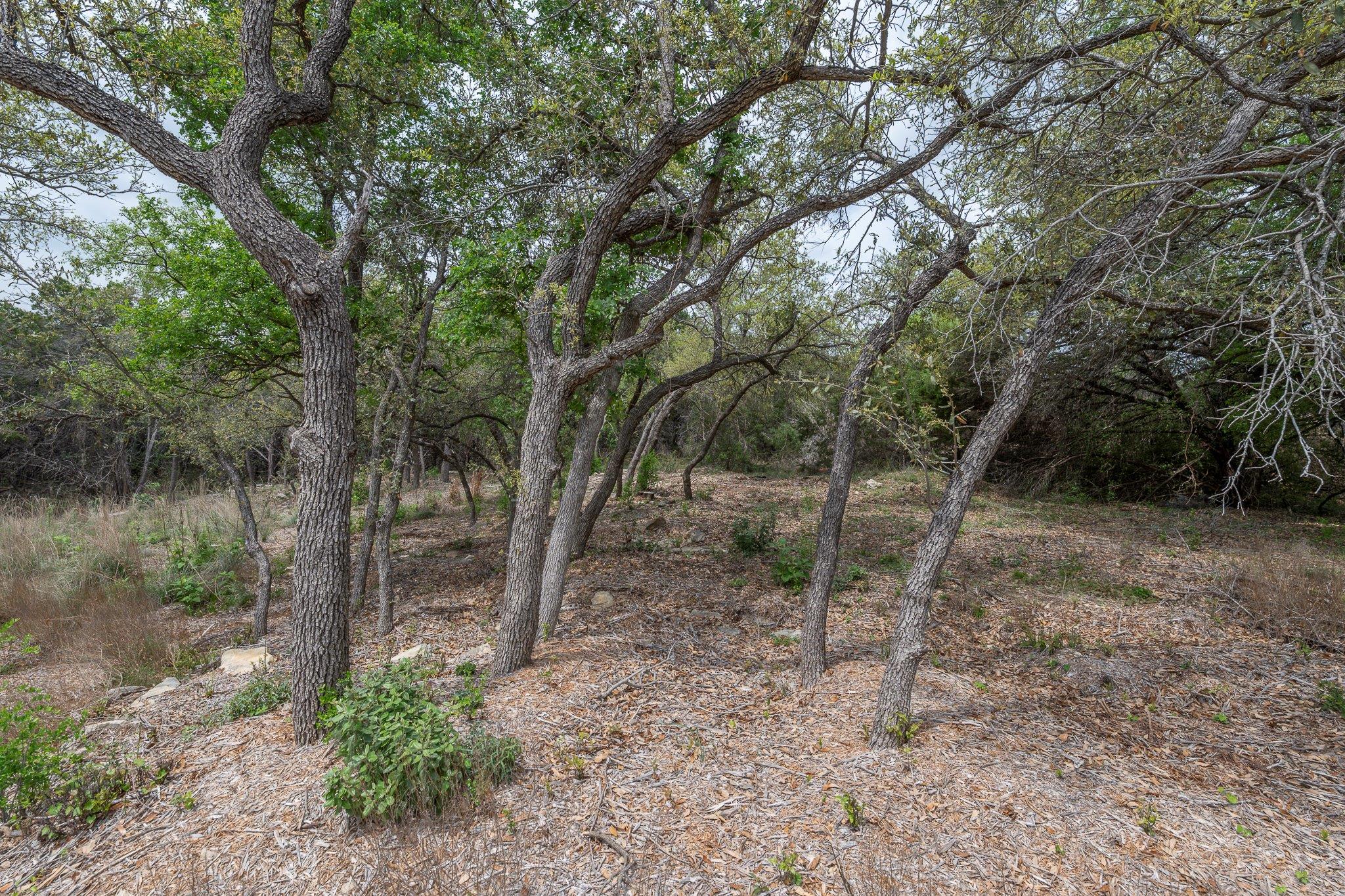 7902 Powder Cv Property Photo 6