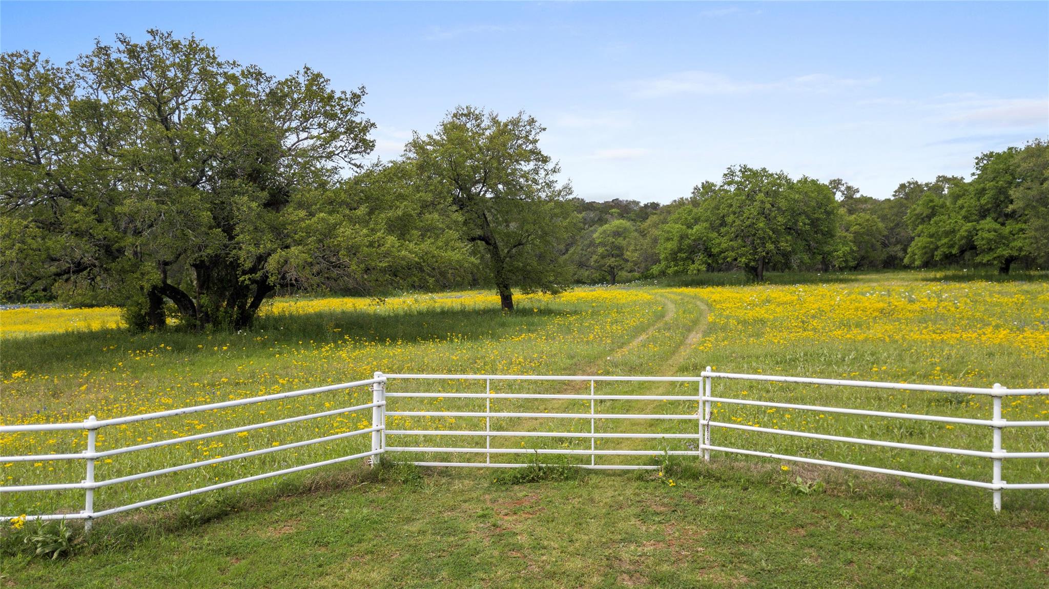 Lot 9 Stone Mountain Dr Property Photo 2