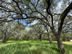 Lot 9 Stone Mountain Dr Property Photo 6