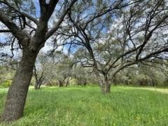 Lot 9 Stone Mountain Dr Property Photo 7