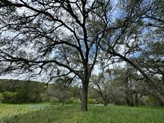 Lot 9 Stone Mountain Dr Property Photo 8