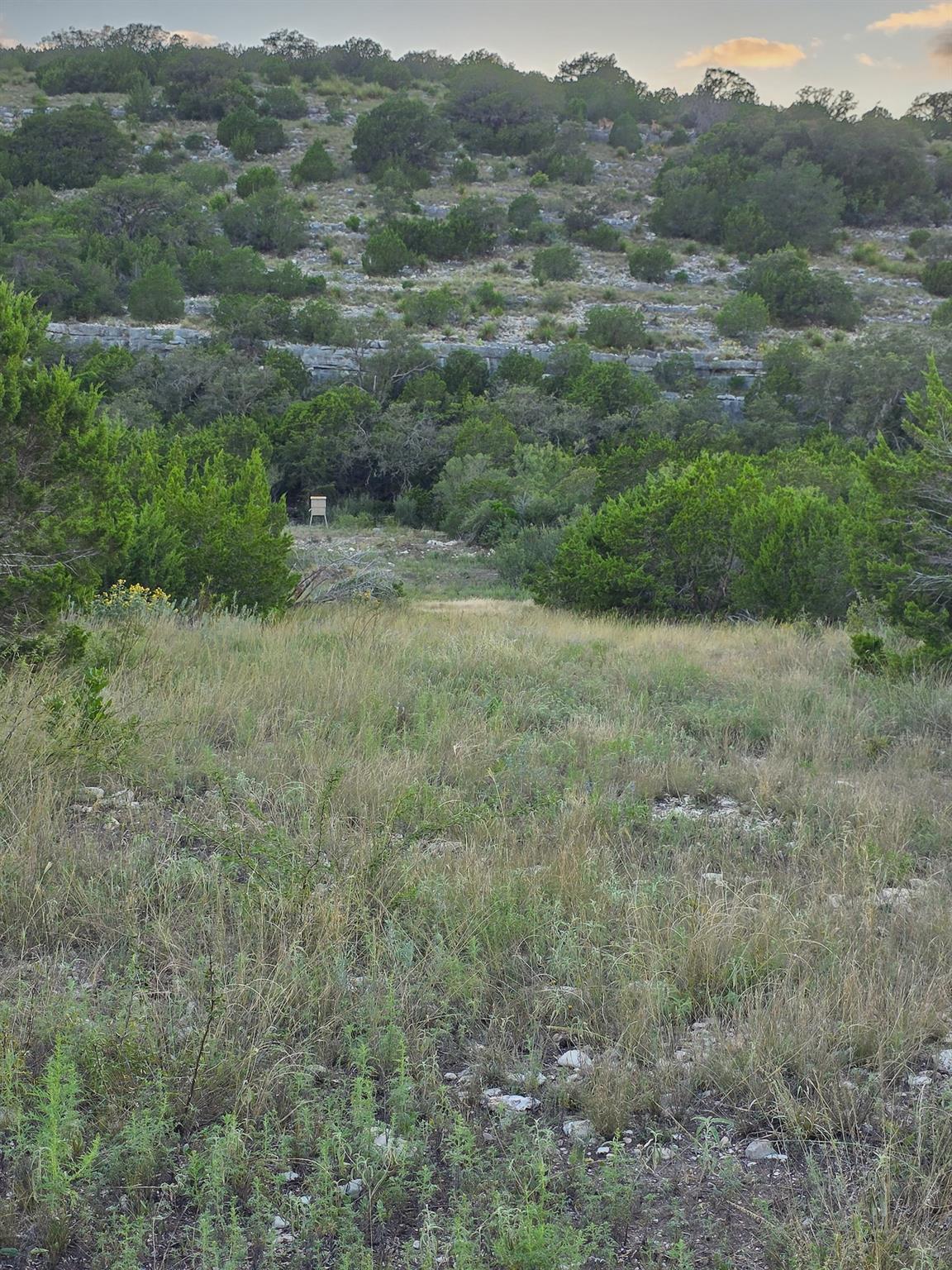 5016037 Property Photo 3