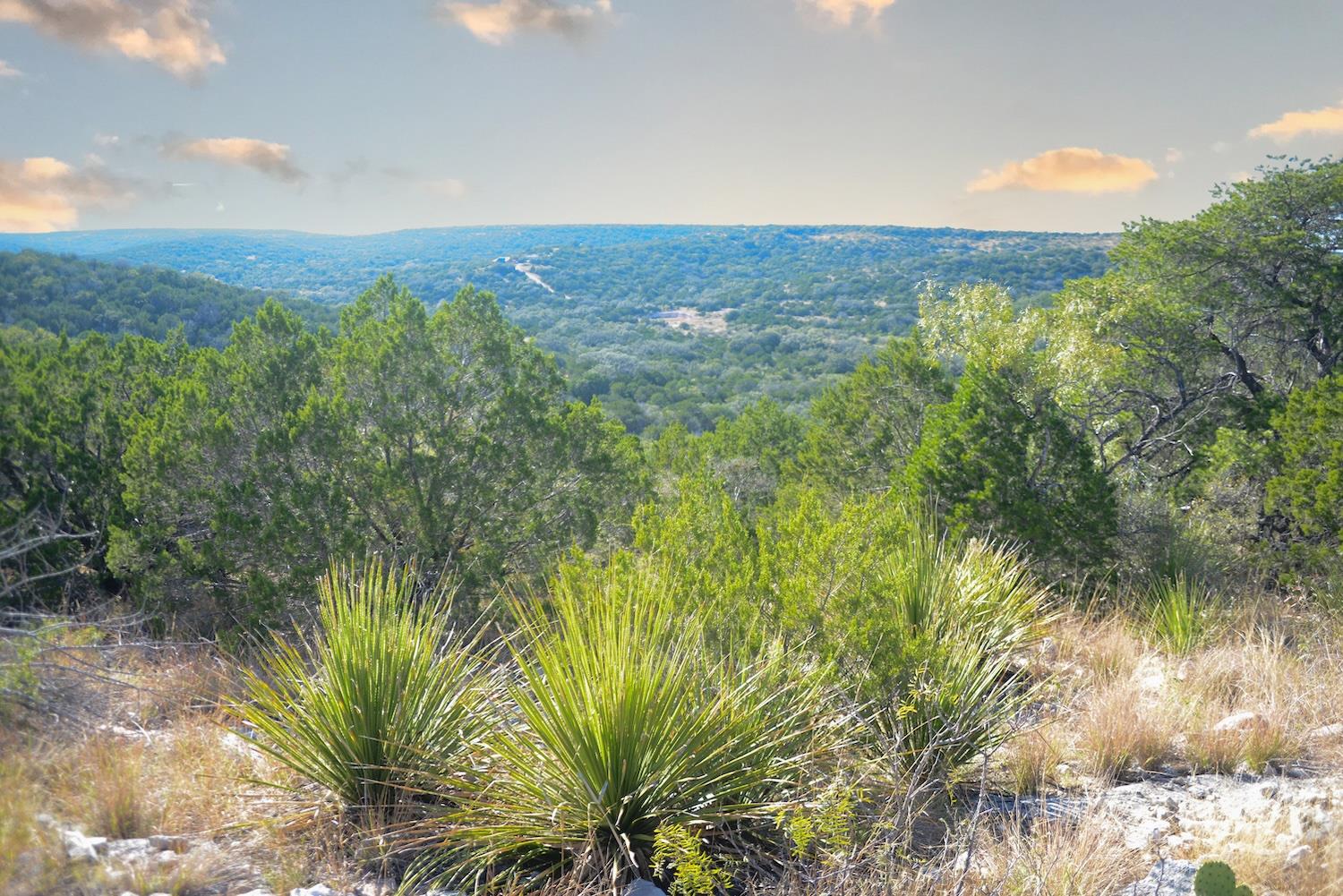 5016037 Property Photo 21