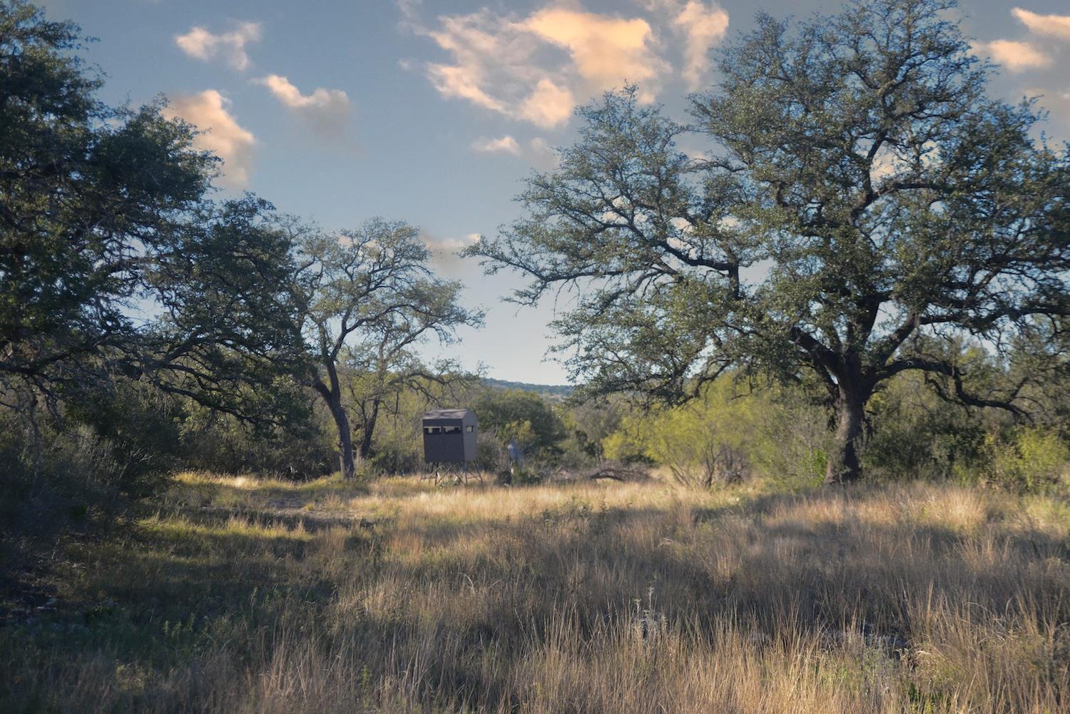 5016037 Property Photo 22