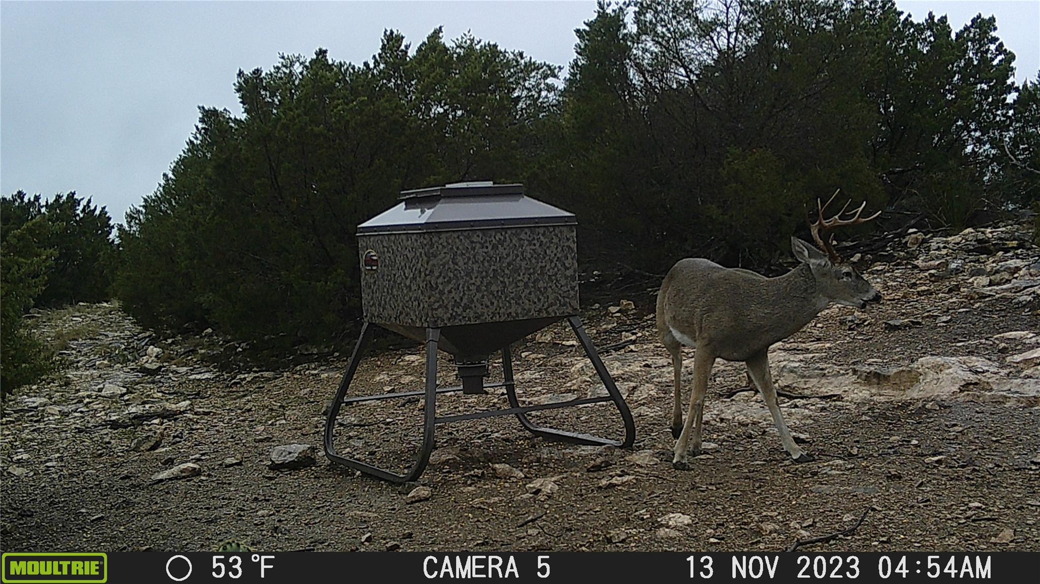 5016037 Property Photo 26