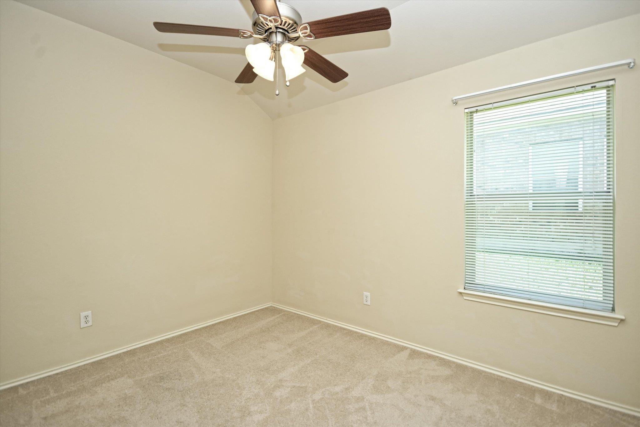 157 Maplewood None N Property Photo 24