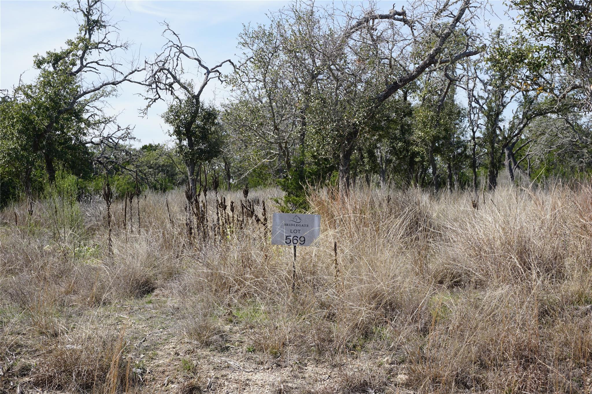 569 Palomino Spgs Property Photo 3