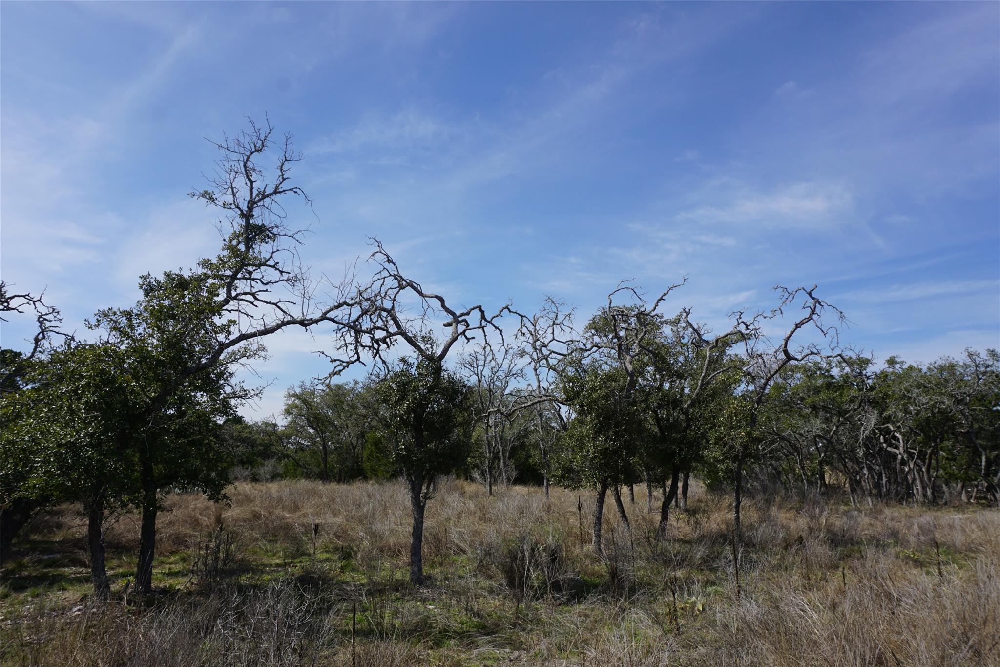 569 Palomino Spgs Property Photo 4