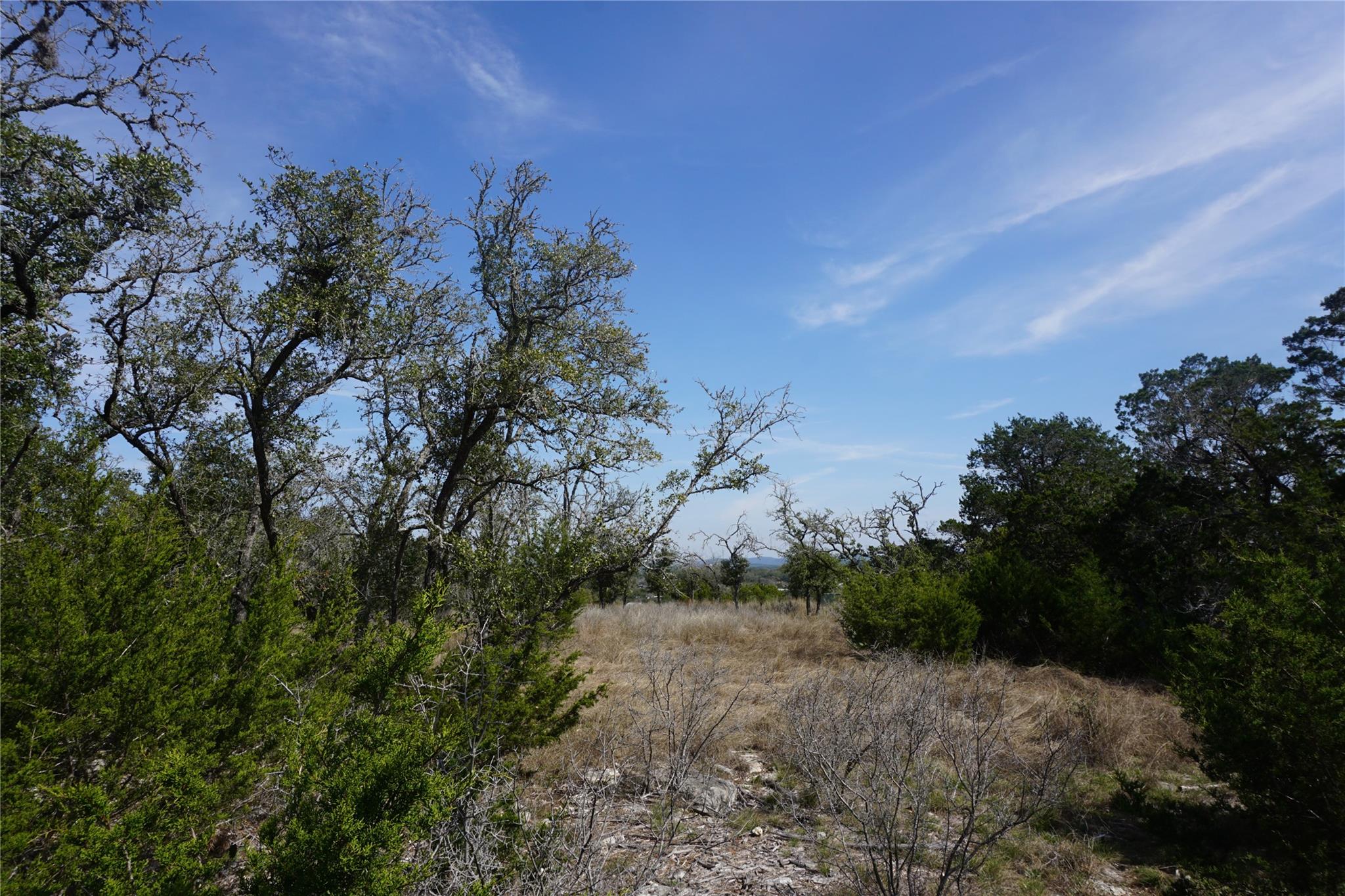 569 Palomino Spgs Property Photo 5