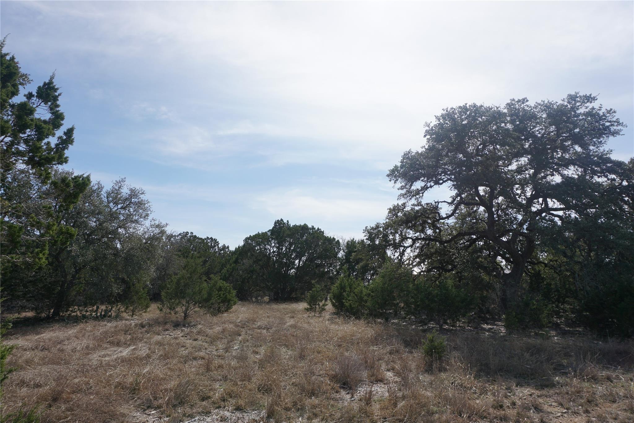 569 Palomino Spgs Property Photo 8