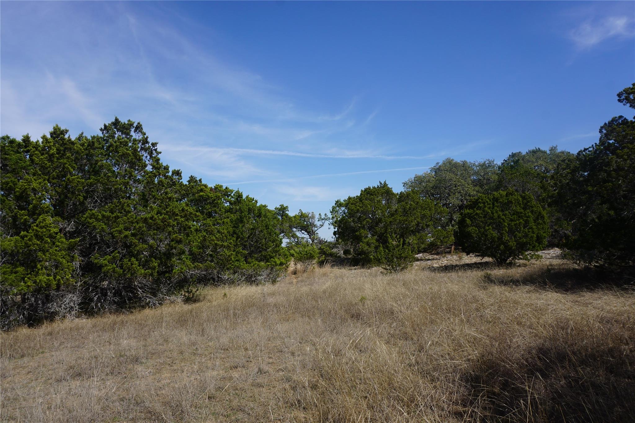 569 Palomino Spgs Property Photo 10