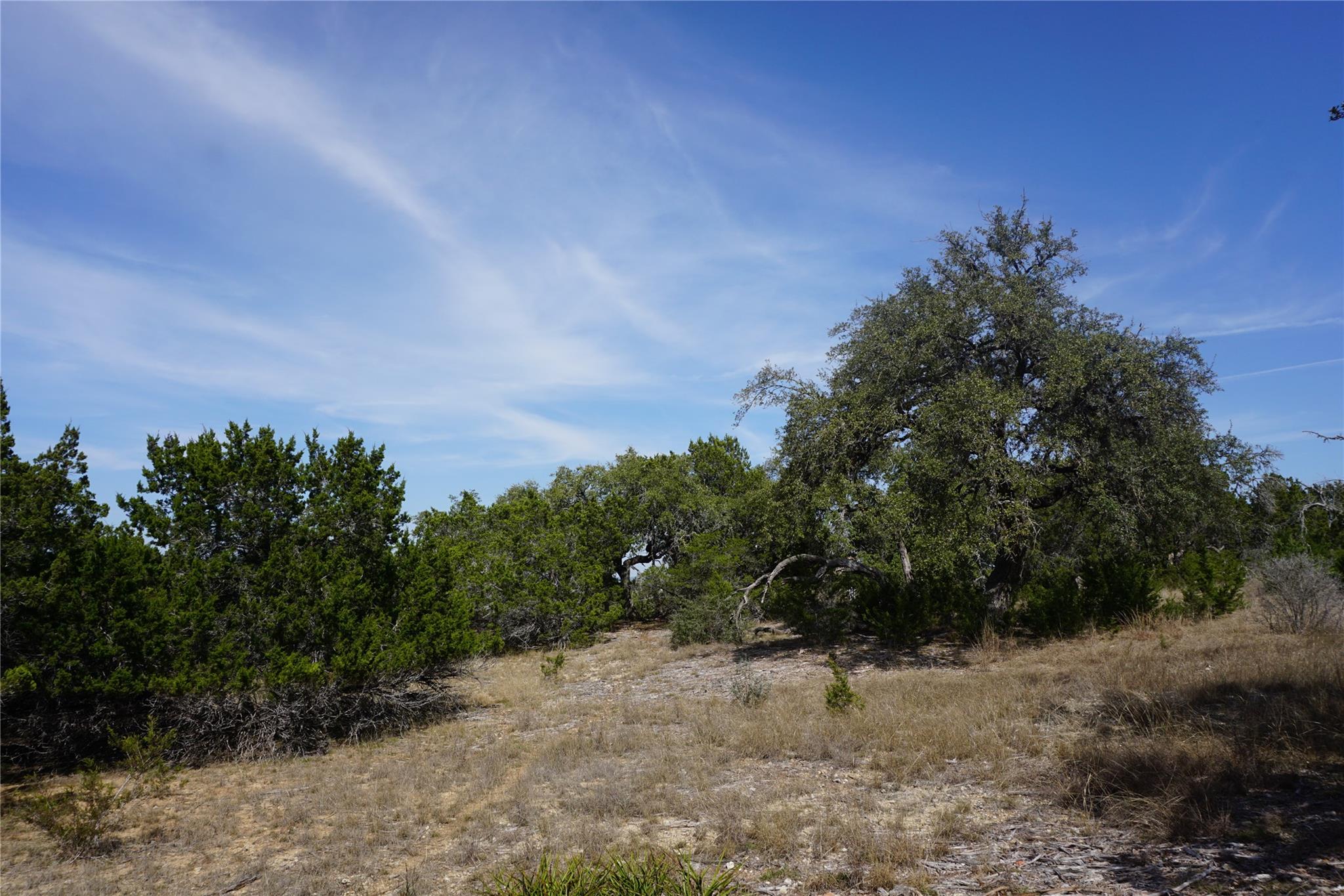569 Palomino Spgs Property Photo 12