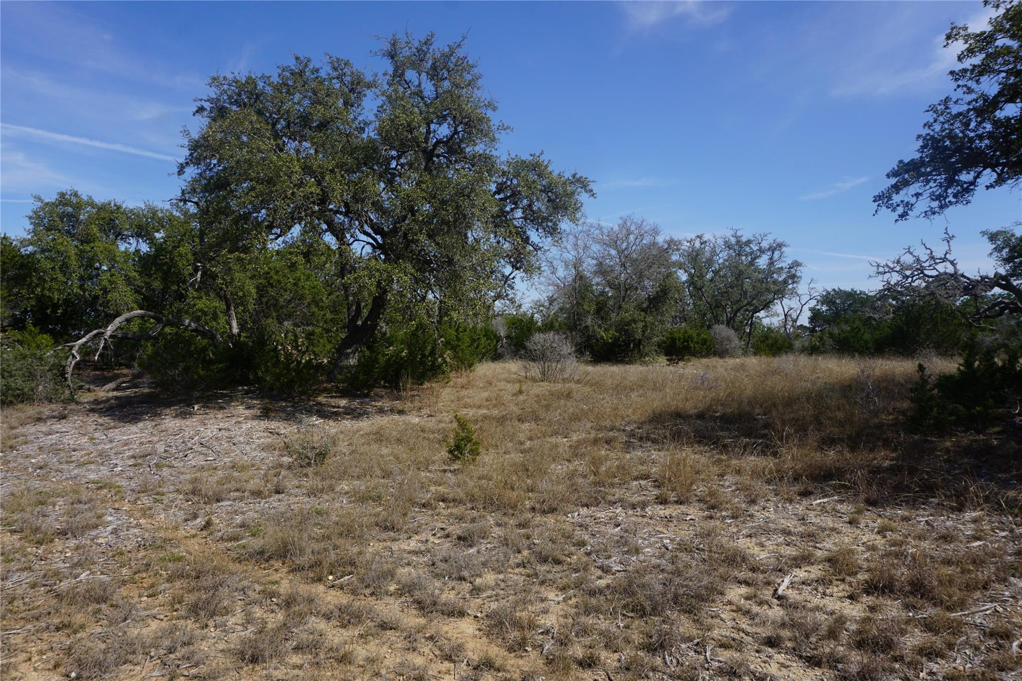 569 Palomino Spgs Property Photo 13