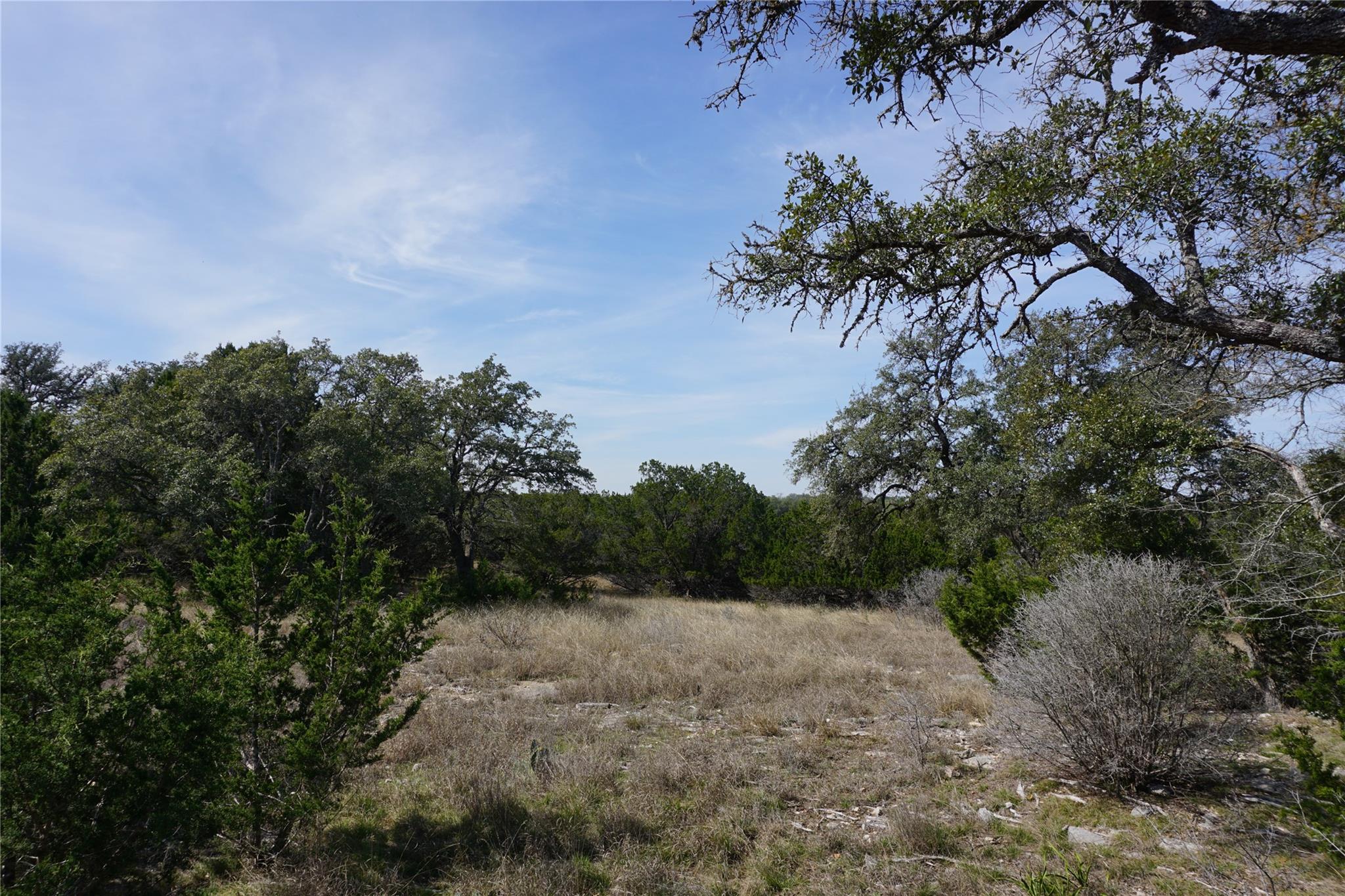 569 Palomino Spgs Property Photo 14