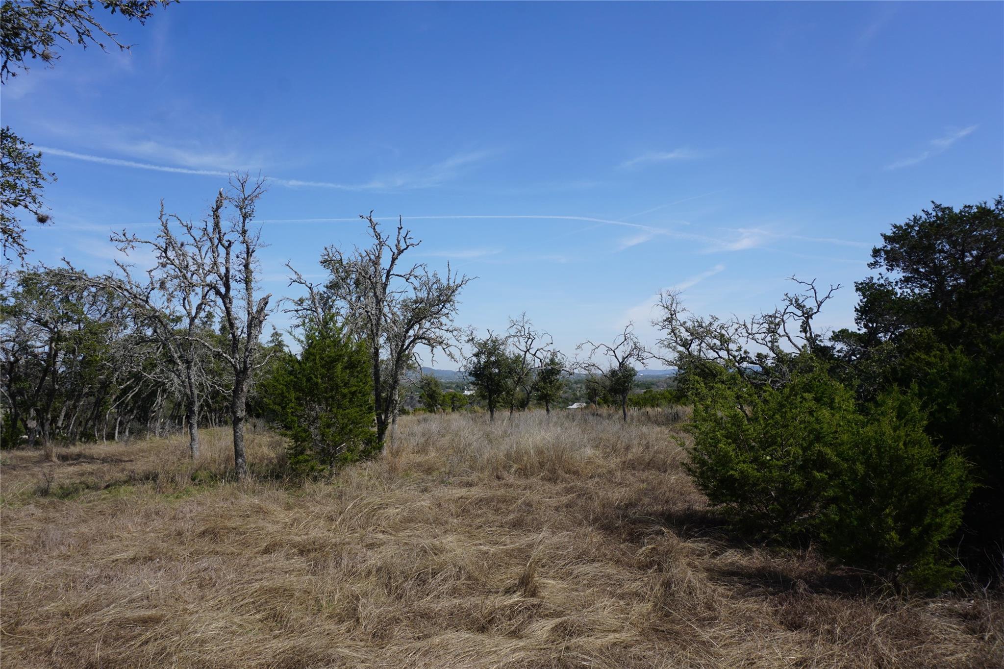 569 Palomino Spgs Property Photo 15