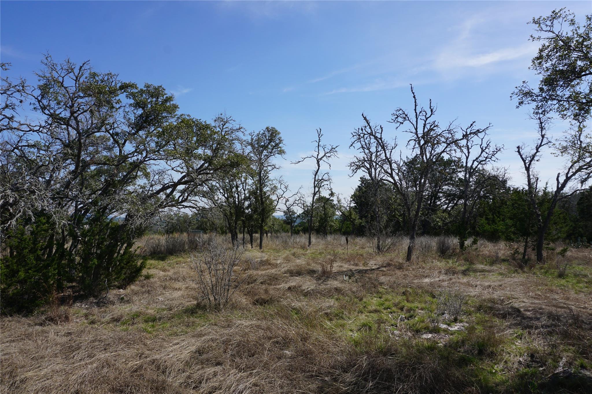 569 Palomino Spgs Property Photo 16