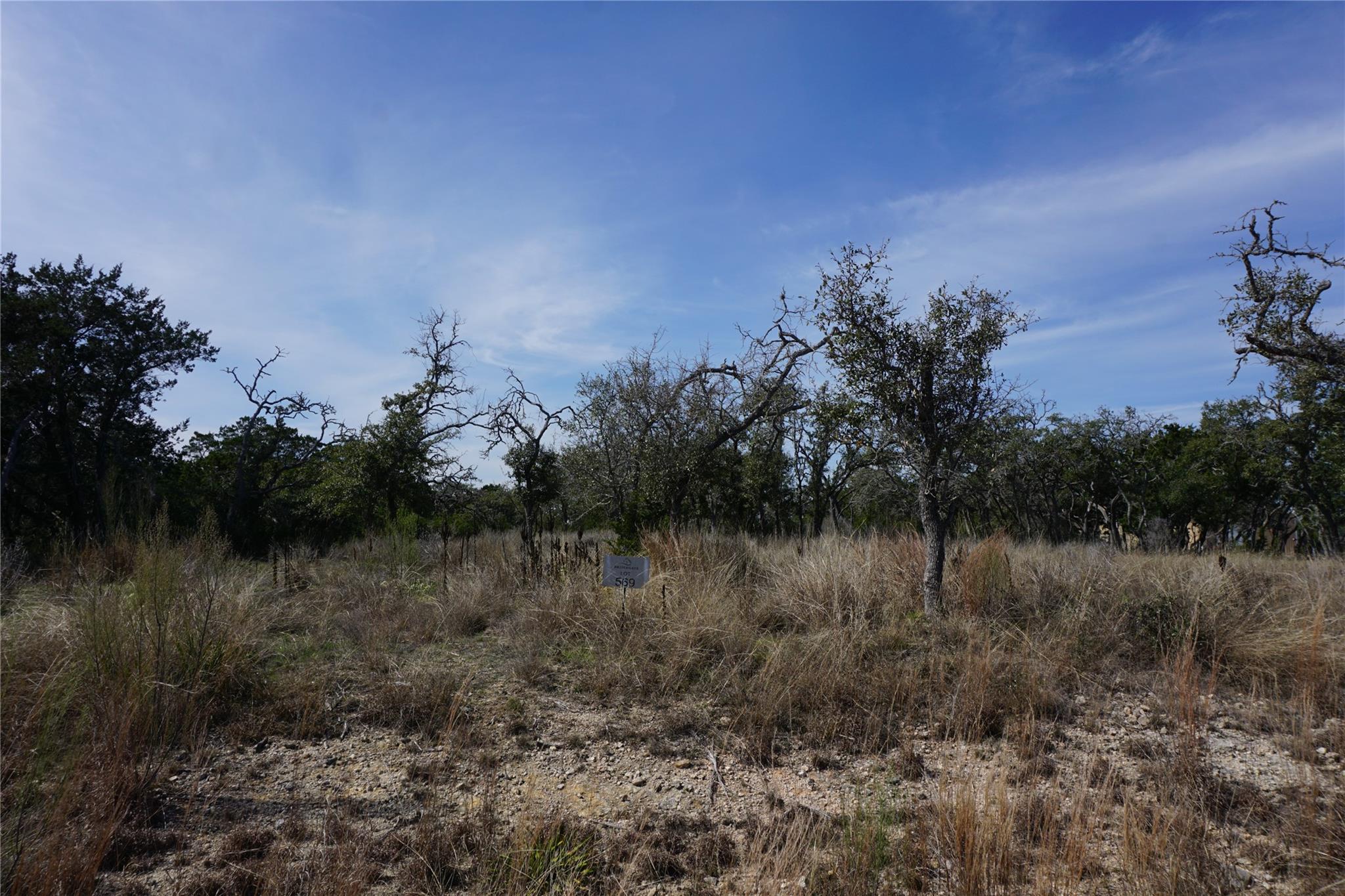 569 Palomino Spgs Property Photo 19