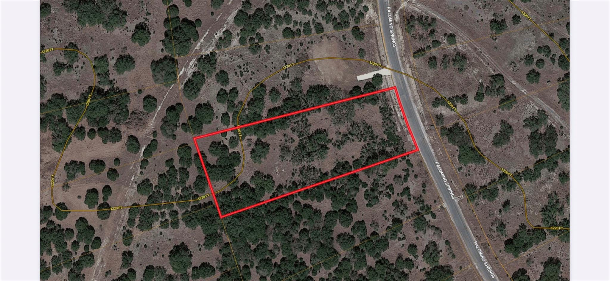 569 Palomino Spgs Property Photo 20