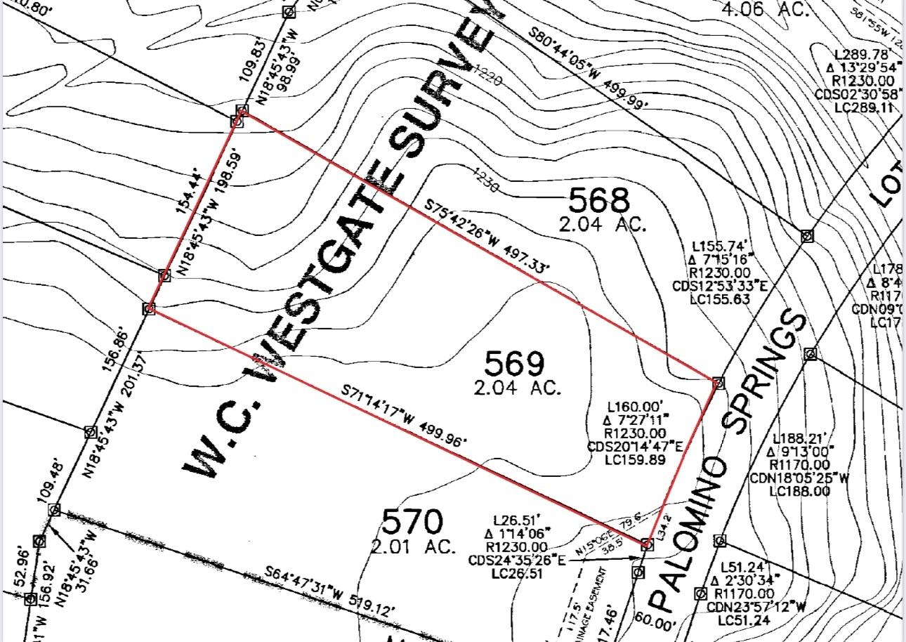569 Palomino Spgs Property Photo 21