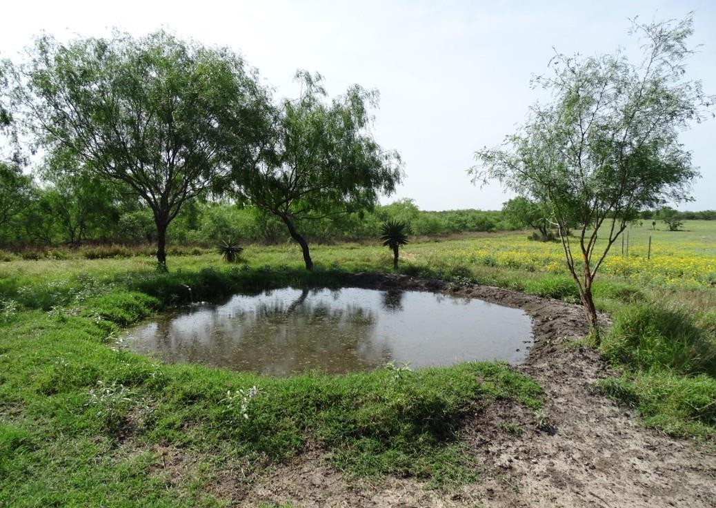 Starr County Real Estate Listings Main Image