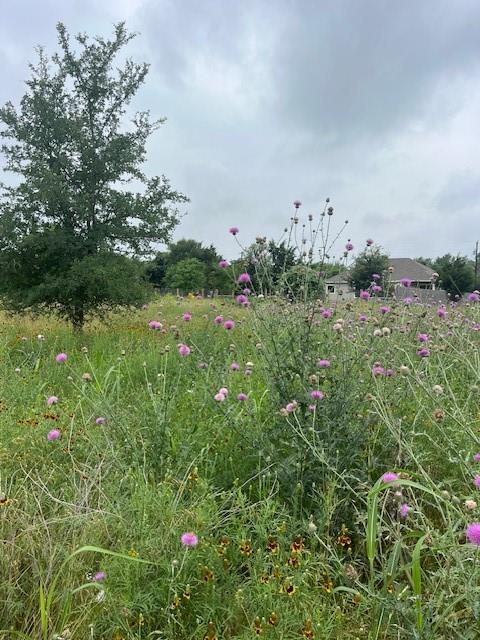 Lot 442 E Pauwela Ln Property Photo 2