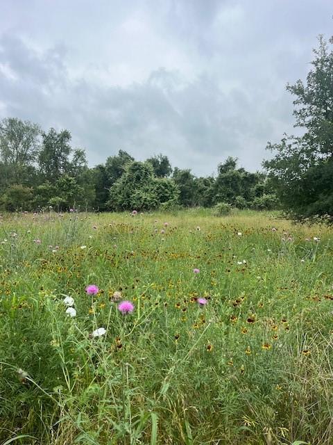 Lot 442 E Pauwela Ln Property Photo 3