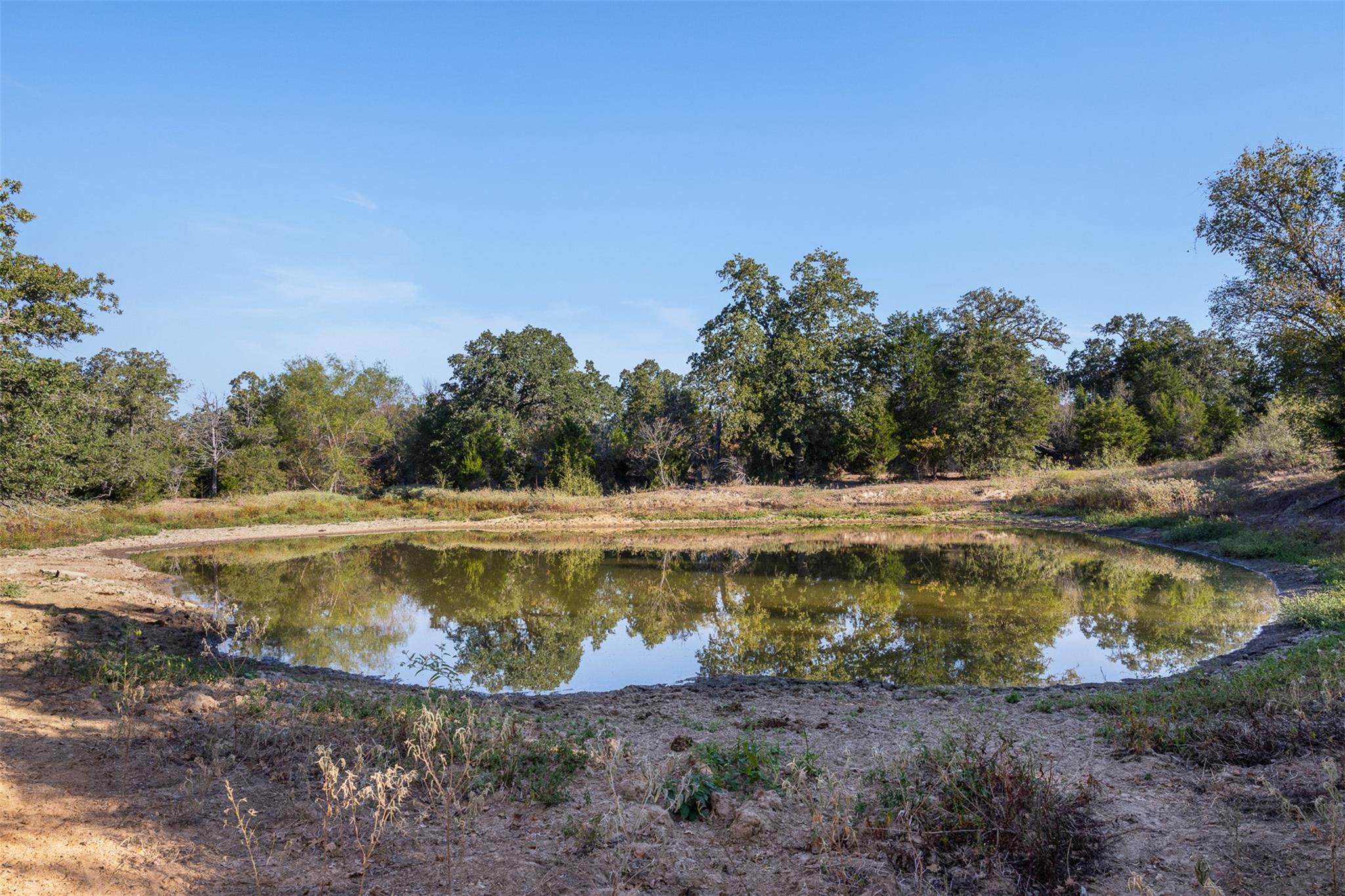 139 Fm 696 None Property Photo 8