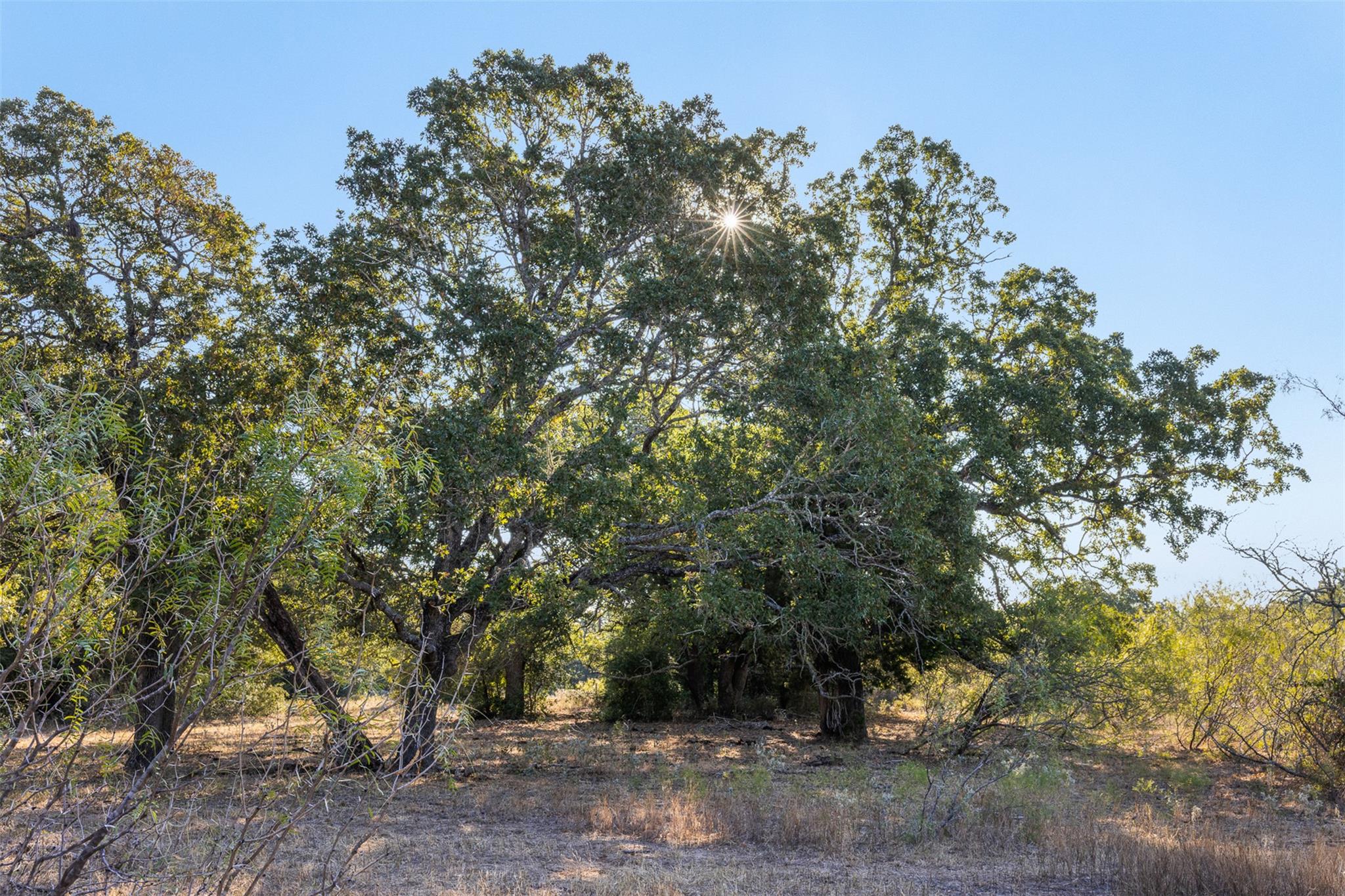 139 Fm 696 None Property Photo 9
