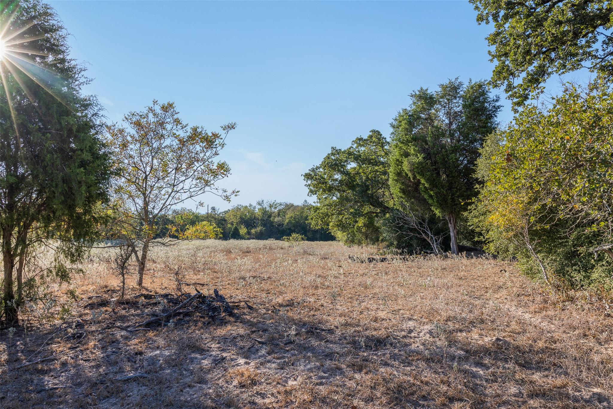 139 Fm 696 None Property Photo 10