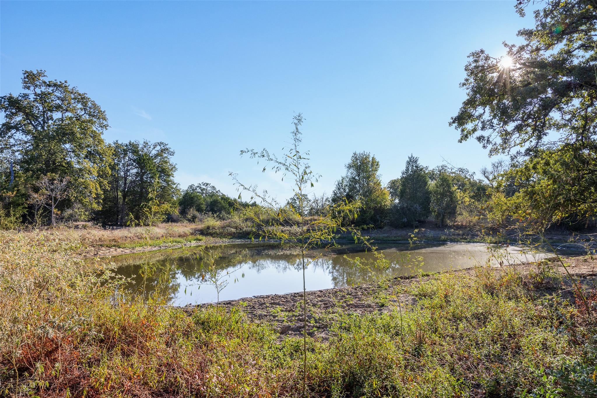 139 Fm 696 None Property Photo 20
