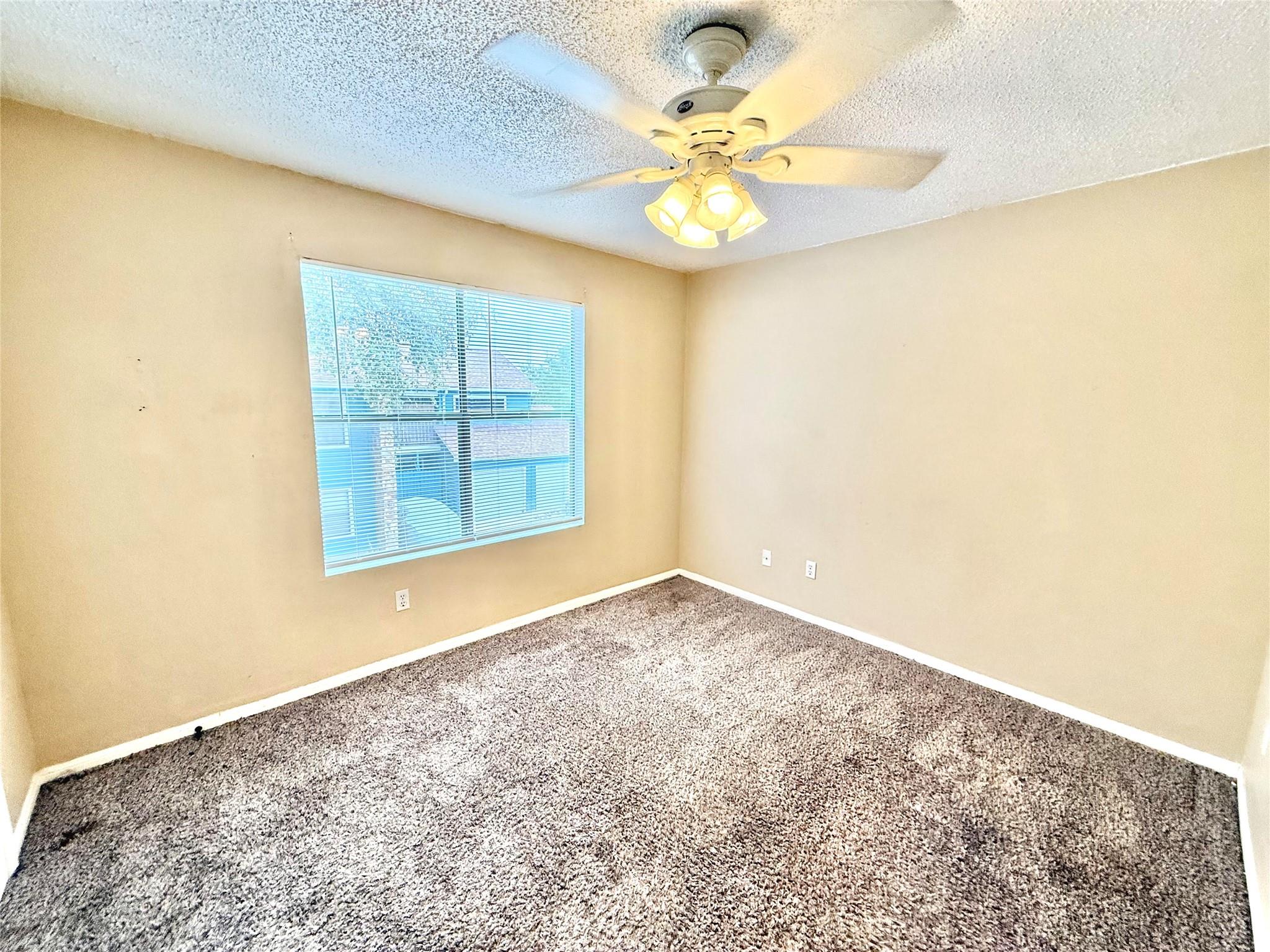 8811 Schick Rd #b Property Photo 6