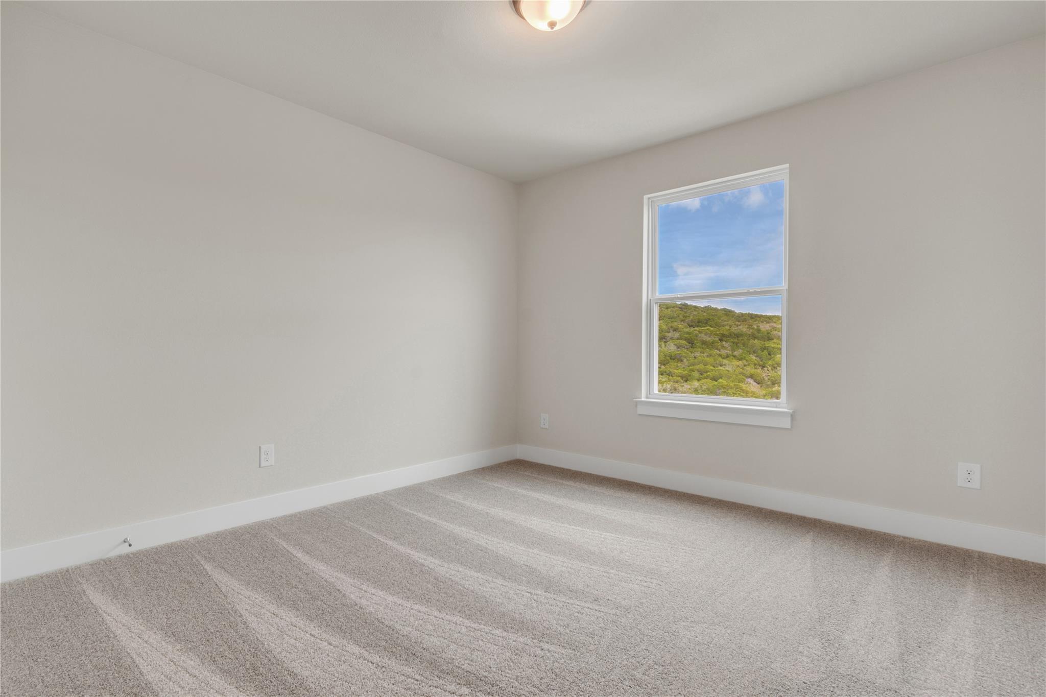 8505 Pine Muhly Dr Property Photo 29