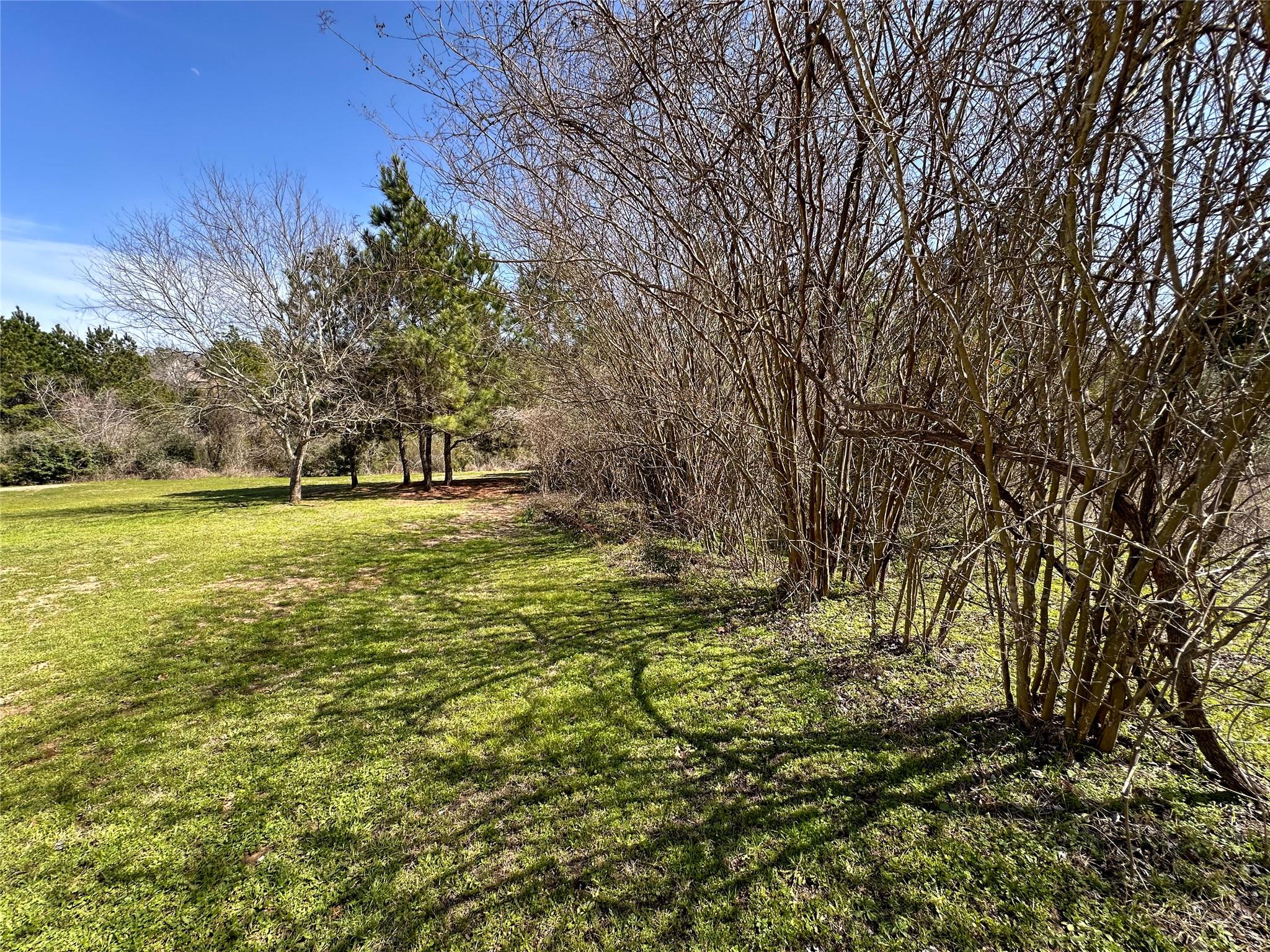 161 Alele Dr Property Photo