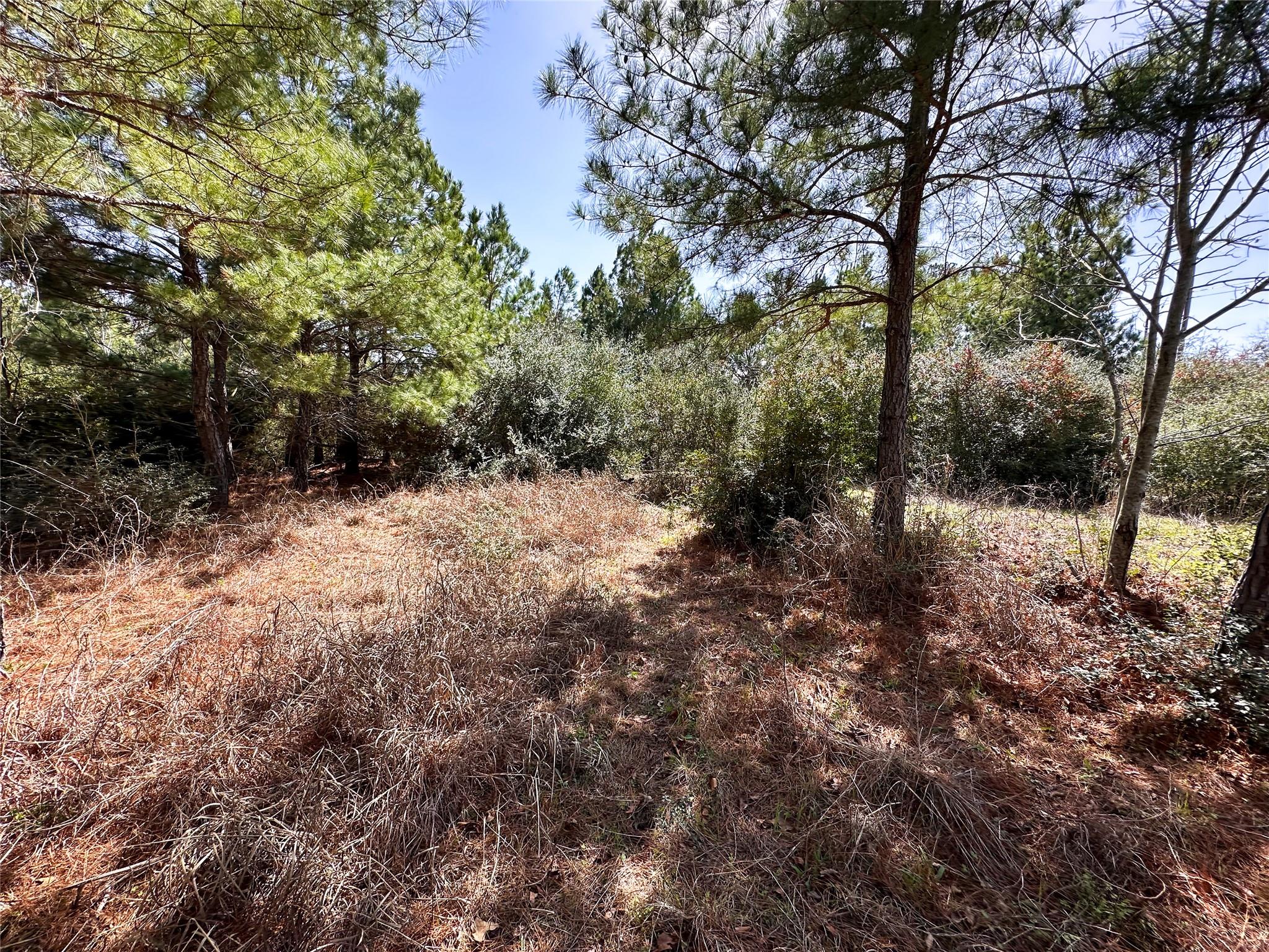 161 Alele Dr Property Photo 2