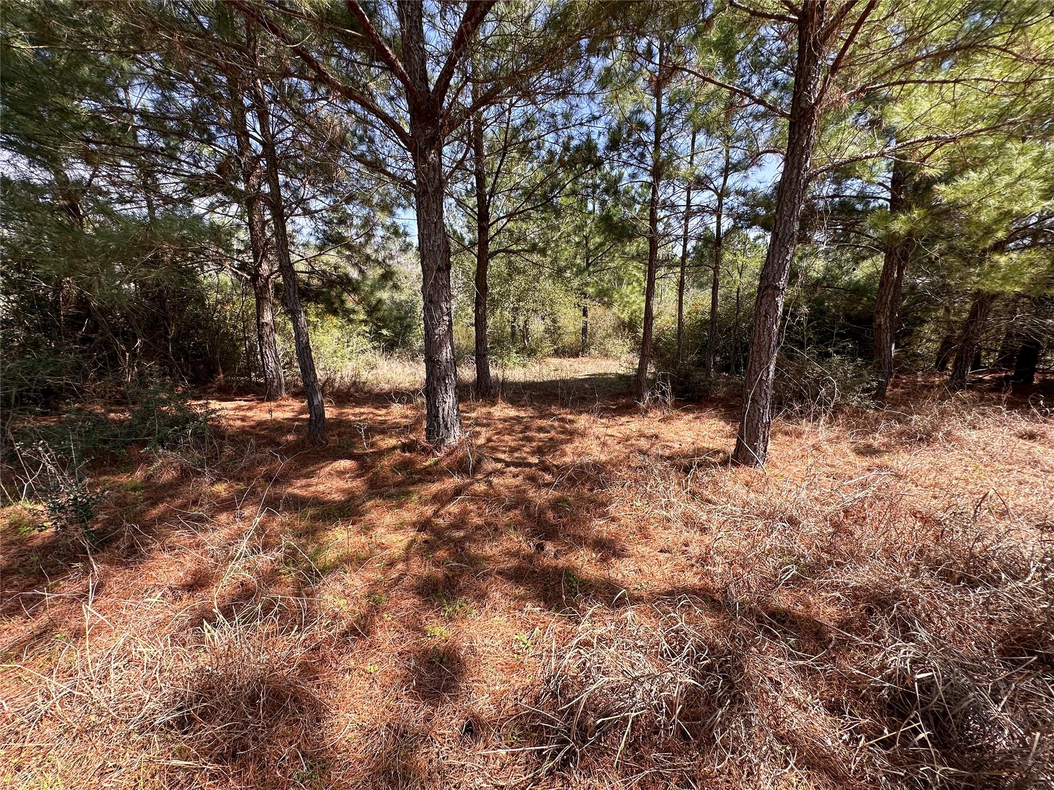 161 Alele Dr Property Photo 3