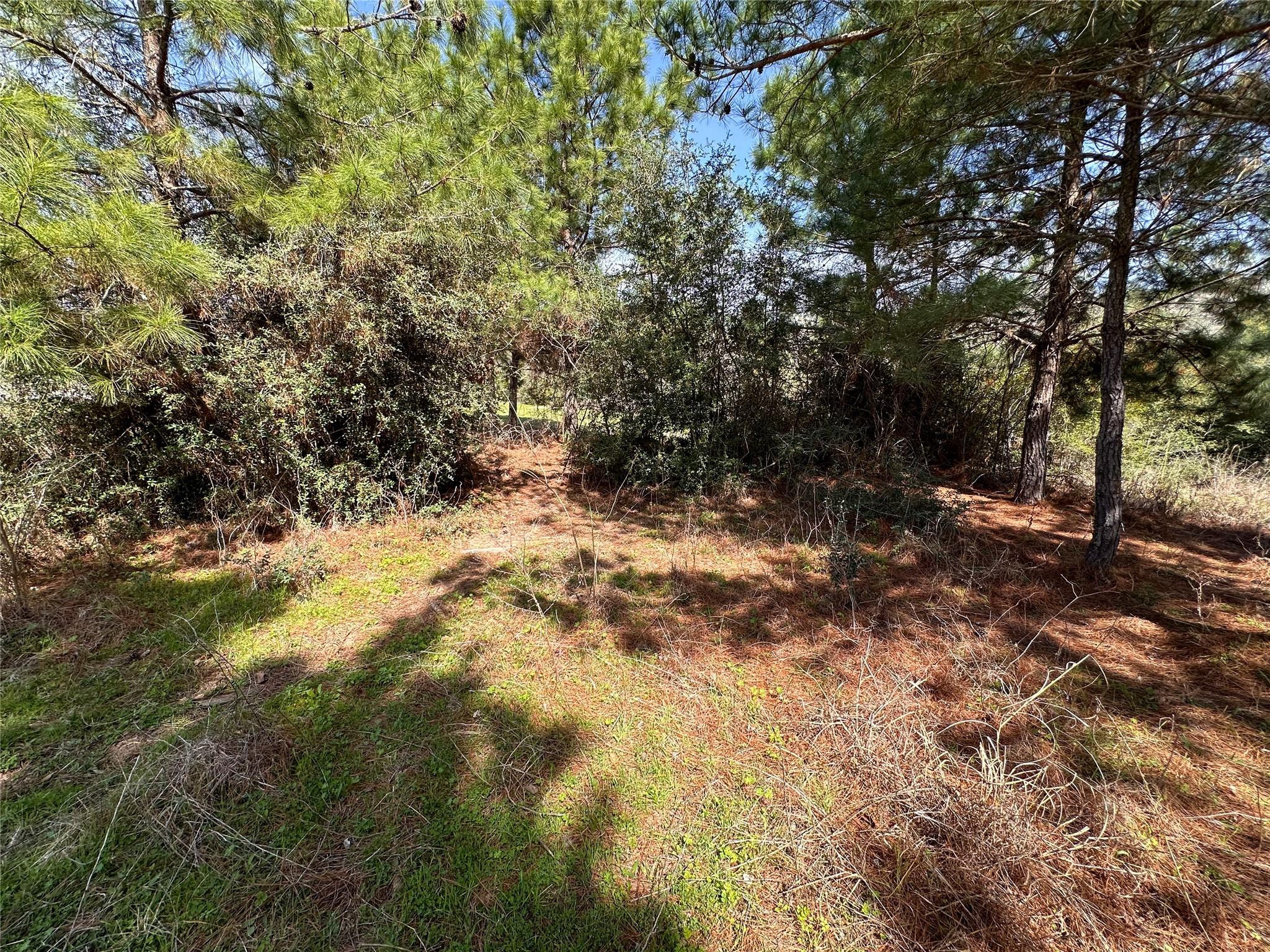 161 Alele Dr Property Photo 5