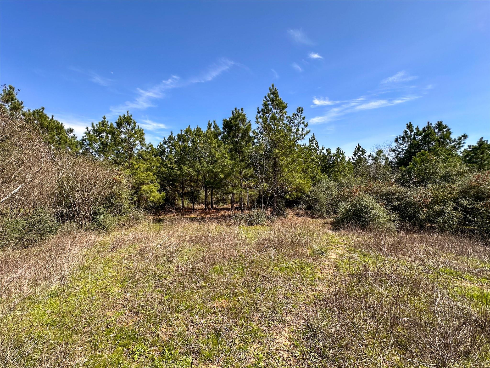 161 Alele Dr Property Photo 6