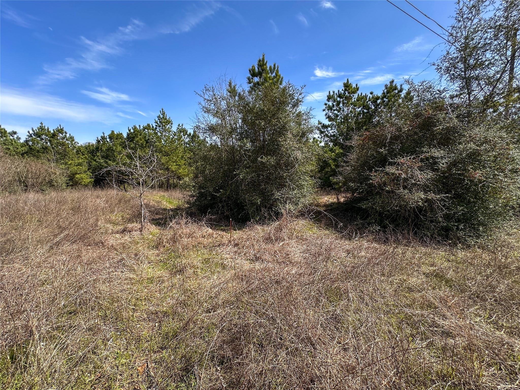 161 Alele Dr Property Photo 8
