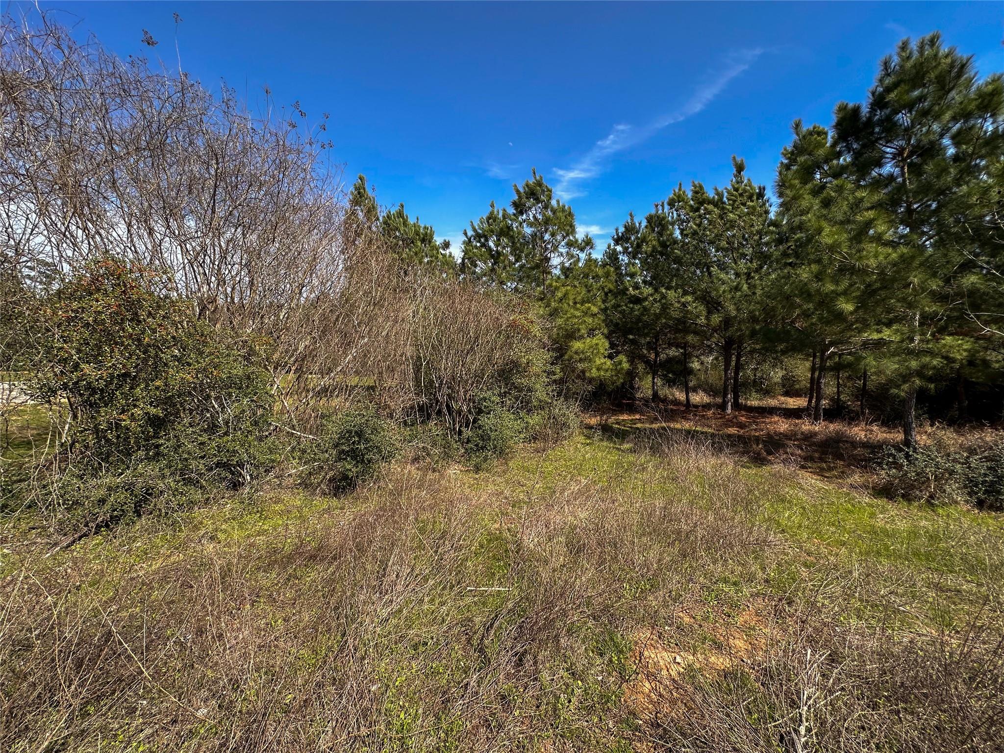 161 Alele Dr Property Photo 11