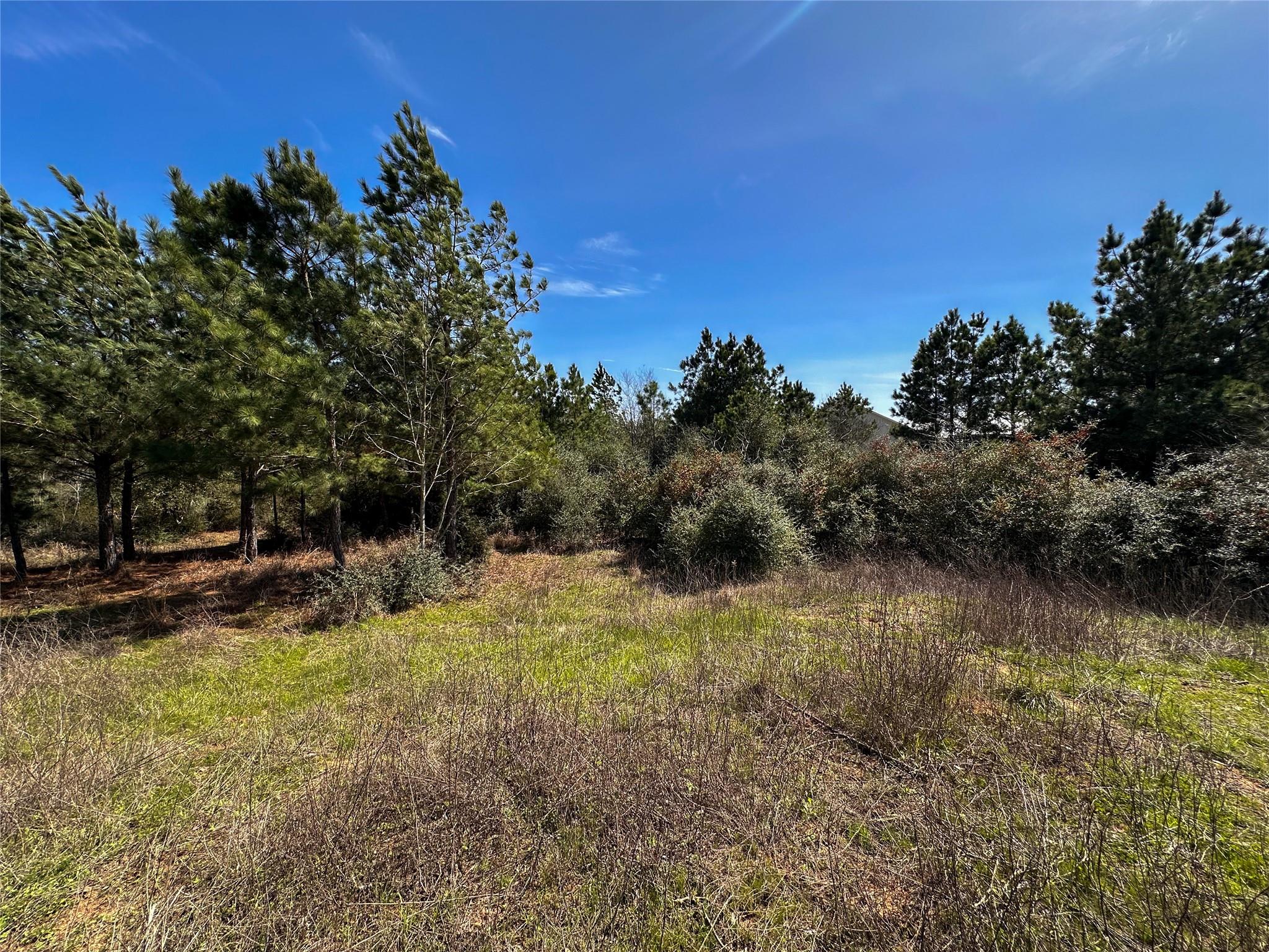 161 Alele Dr Property Photo 13
