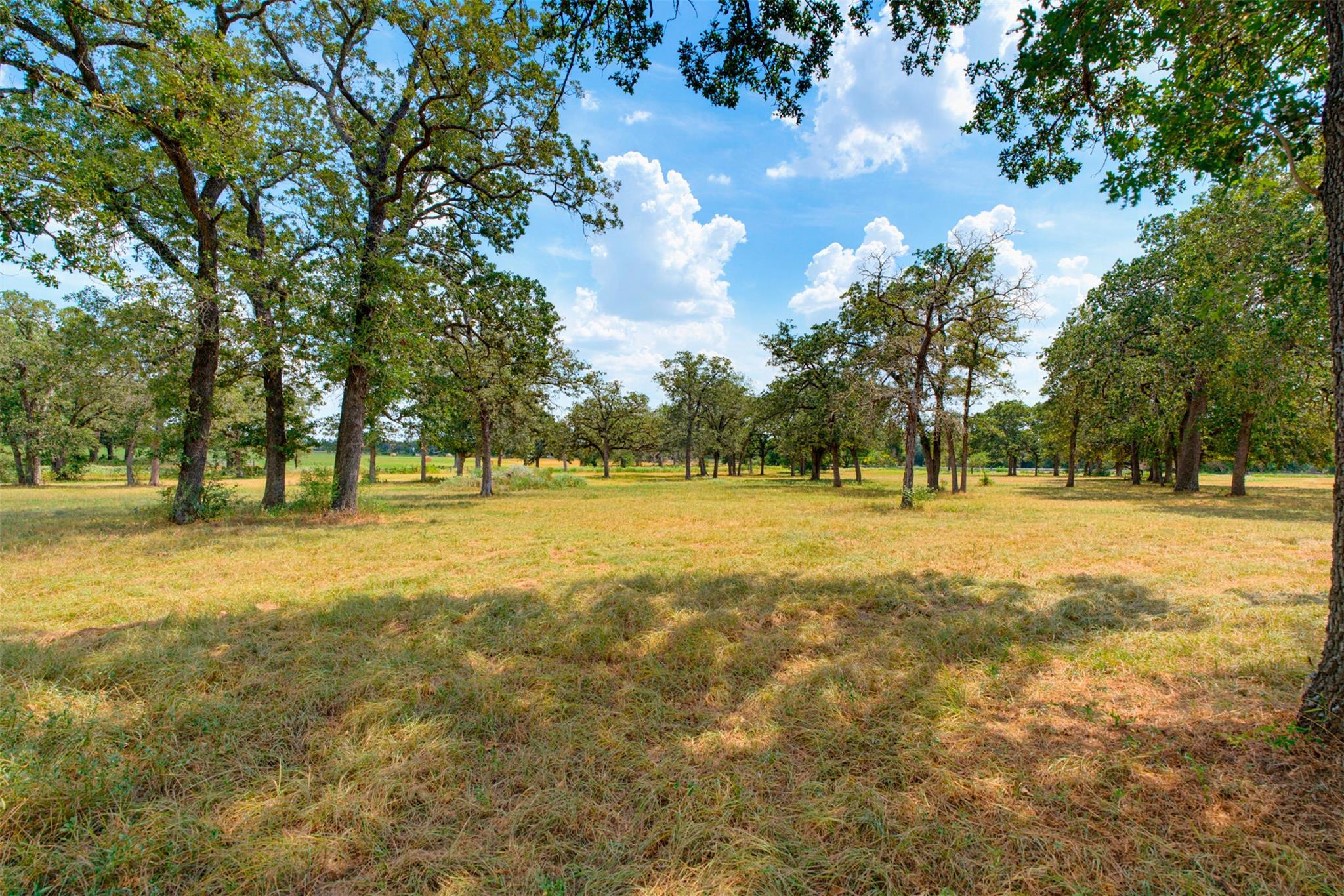16905 Fm 112 None Property Photo 25