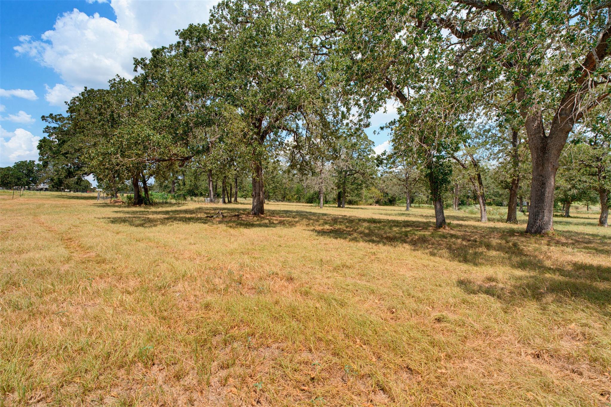 16905 Fm 112 None Property Photo 26