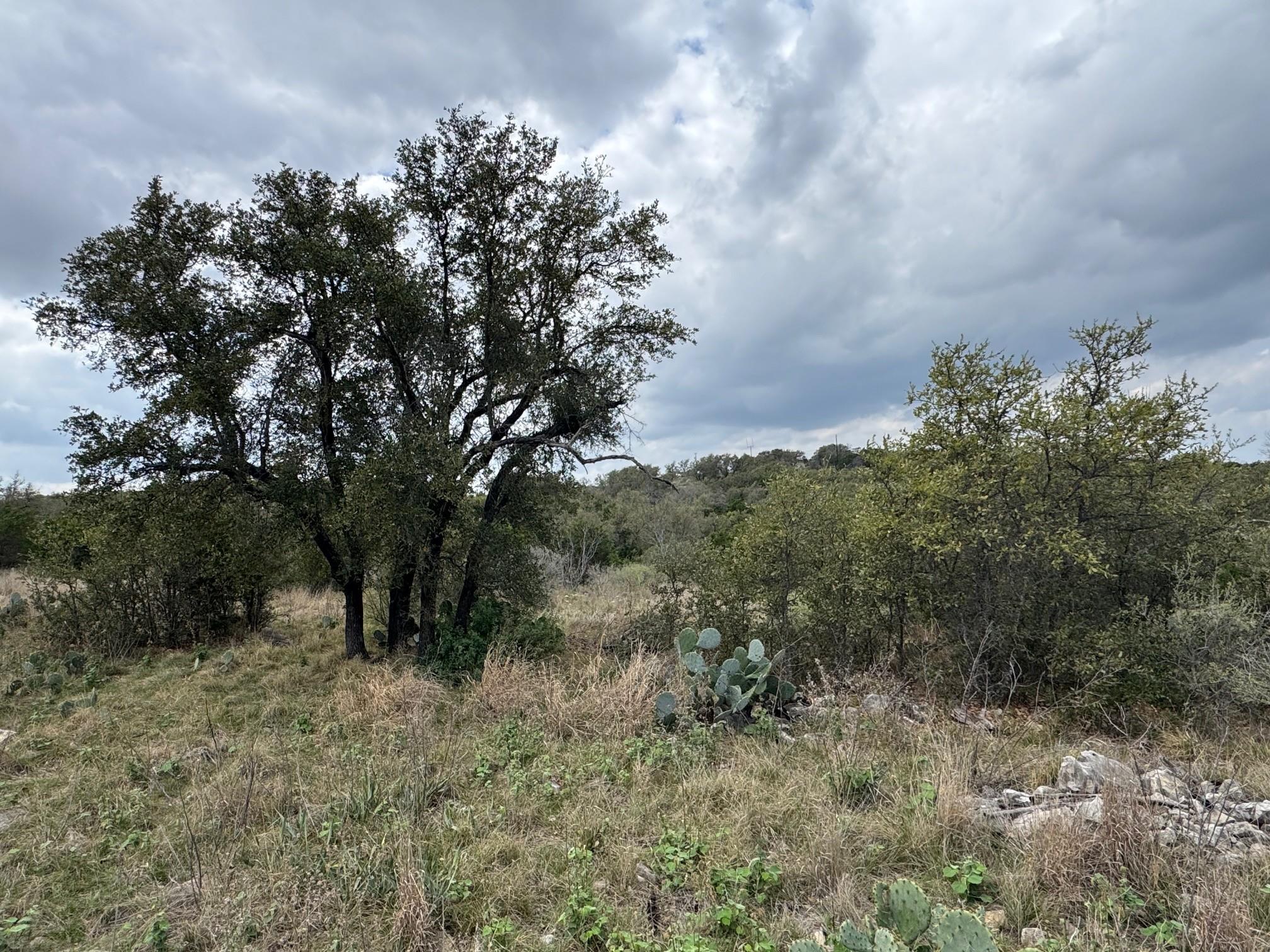 Lot 34 Eagle Feather None Property Photo 6