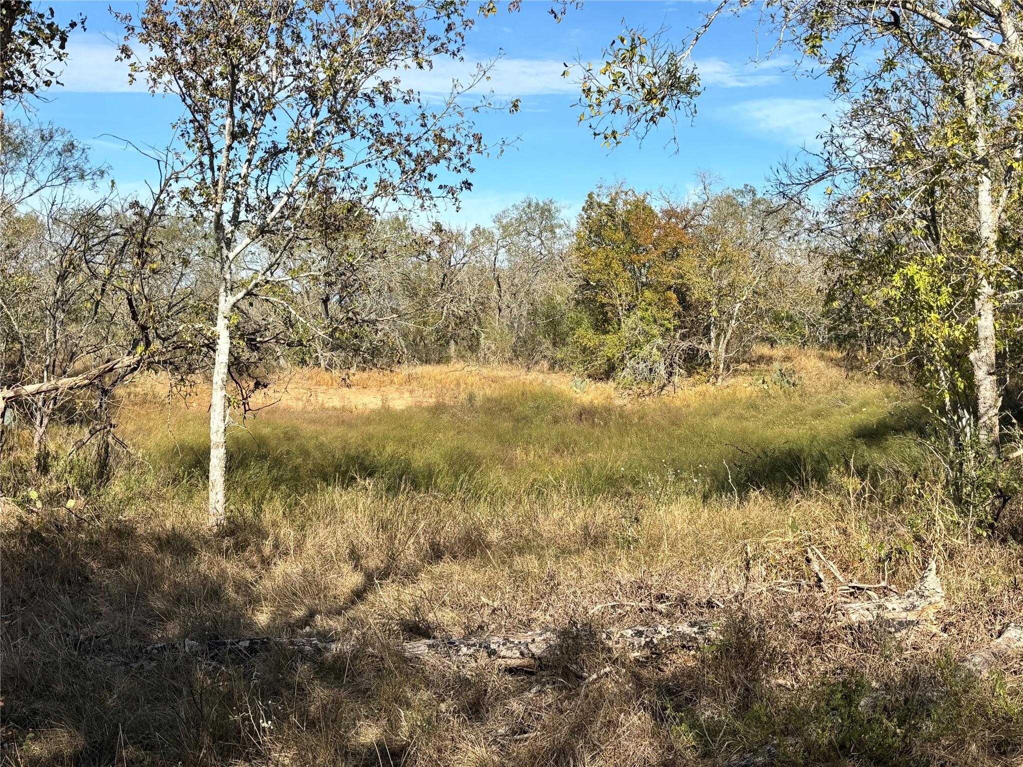 4041 Good Luck Rd Property Photo 7